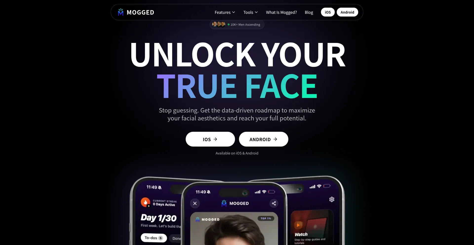 Moggedupapp.com
