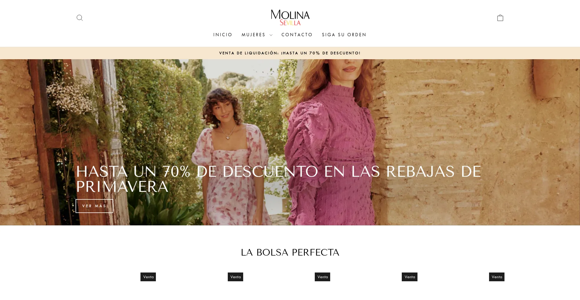 Website screenshot of Molina-sevilla.es