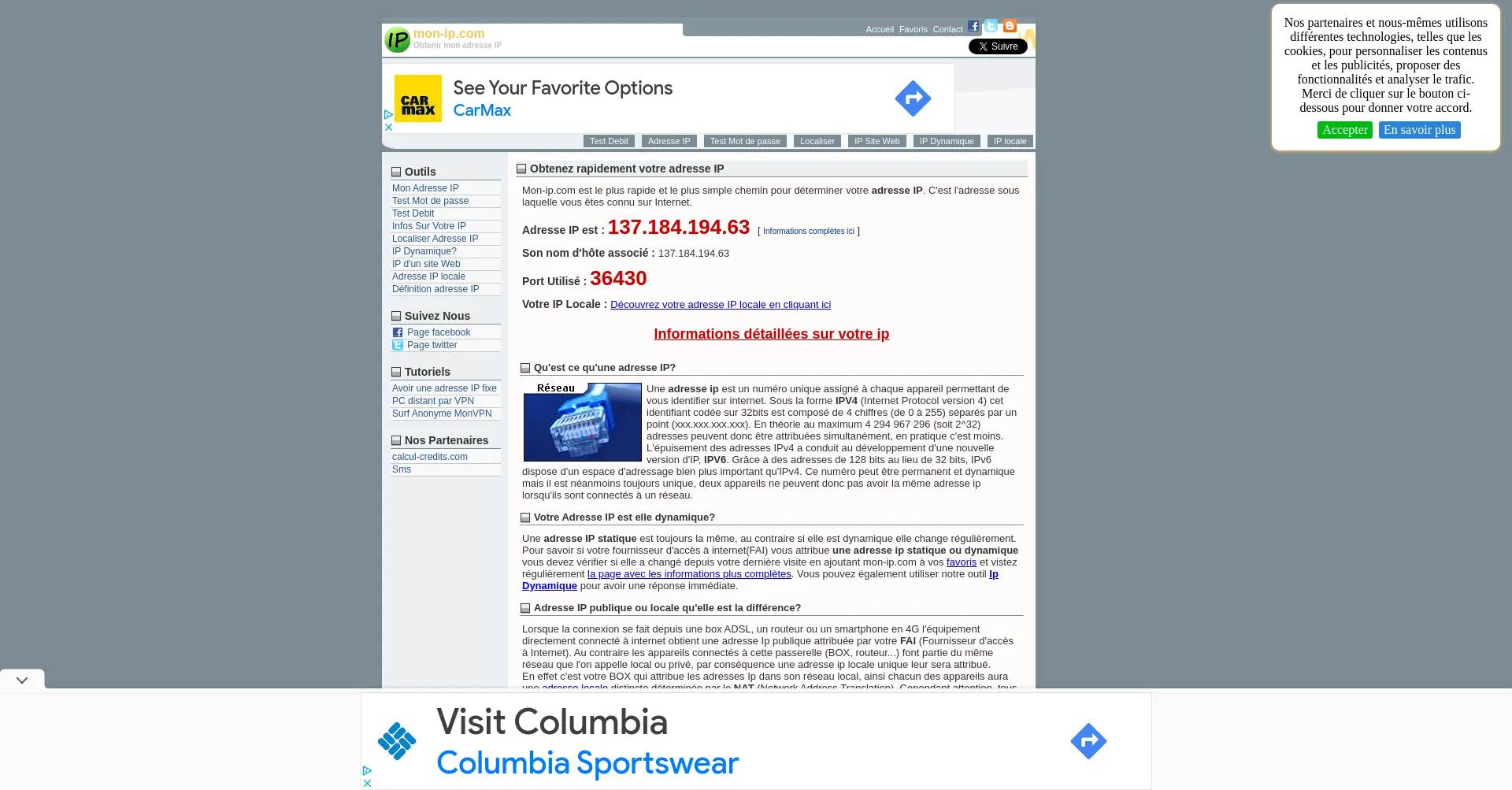 Website screenshot of Mon-ip.com
