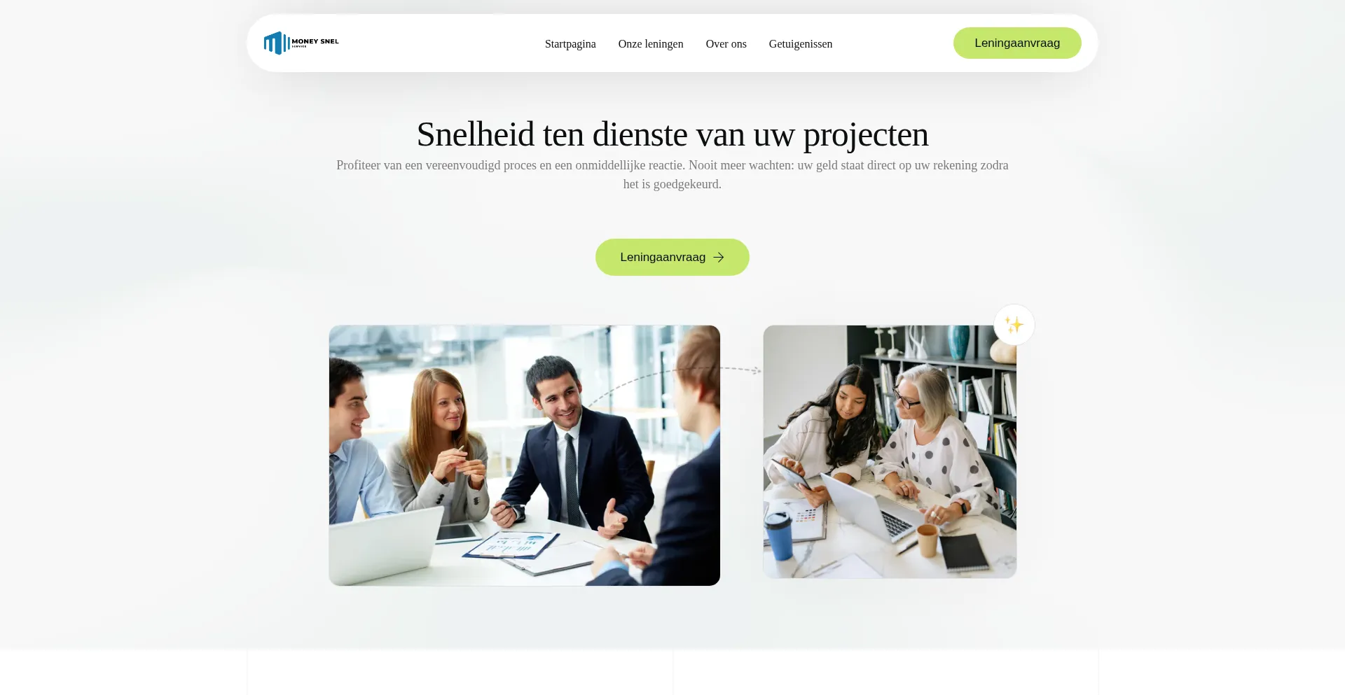 Website screenshot of Moneysnel-service.com