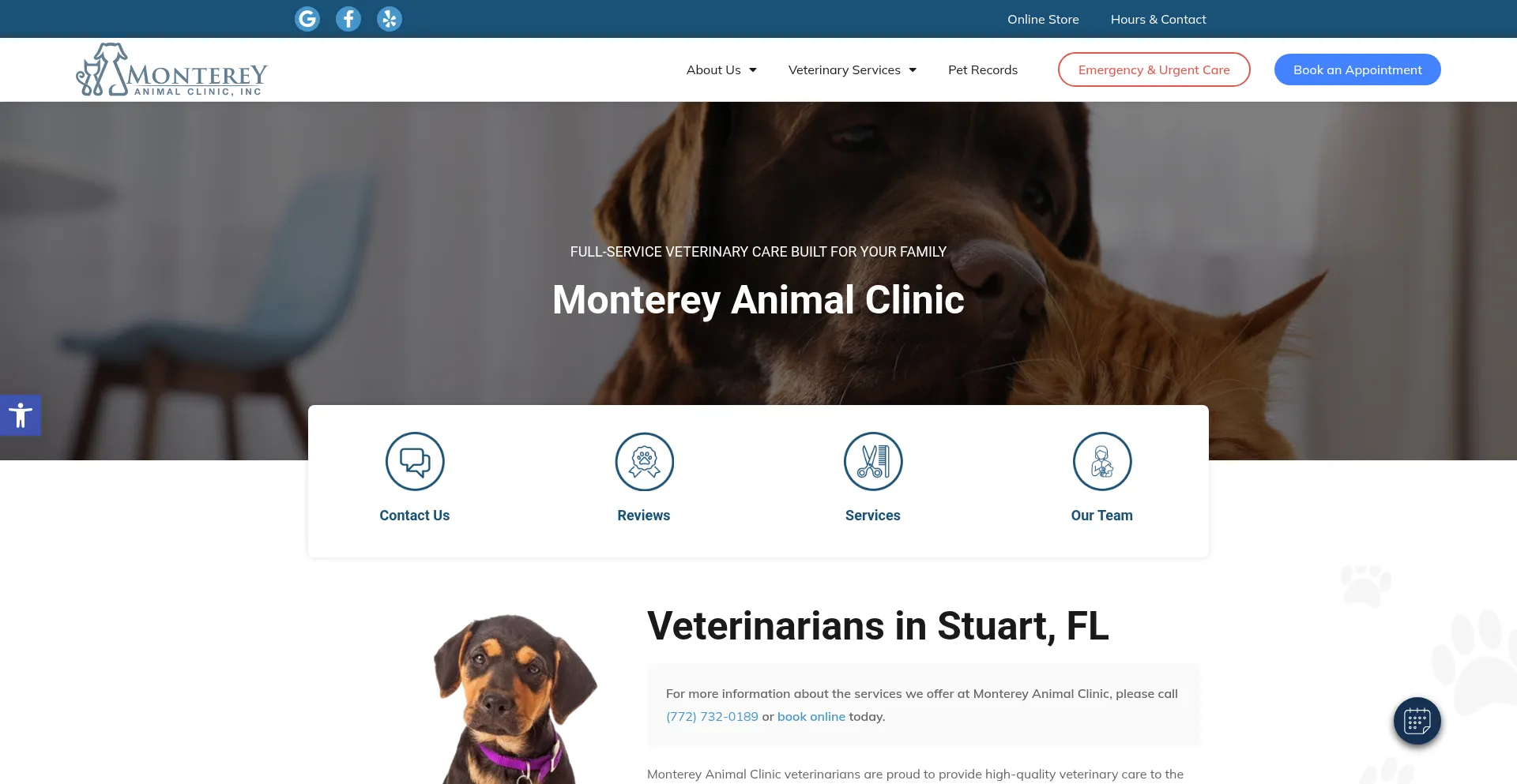 Montereyanimalclinic.com