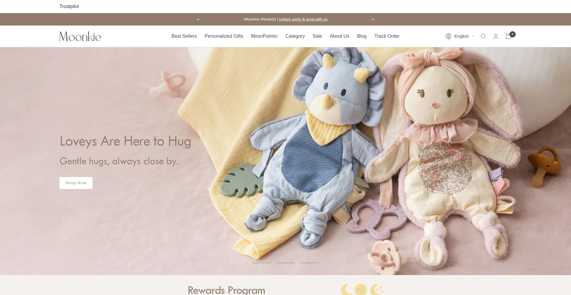 Website screenshot of Moonkieshop.com