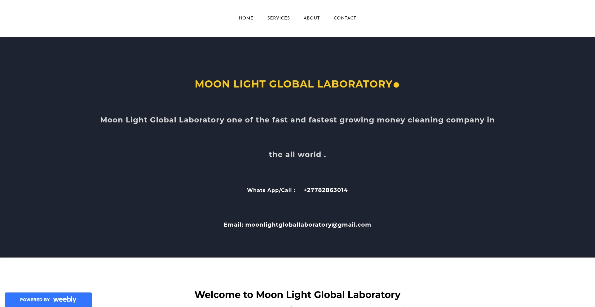 Moonlightgloballaboratory.weebly.com