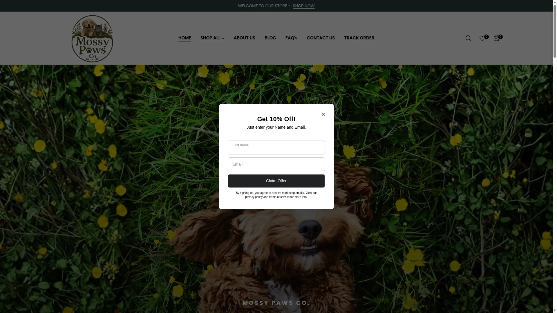 Mossypawsco.com