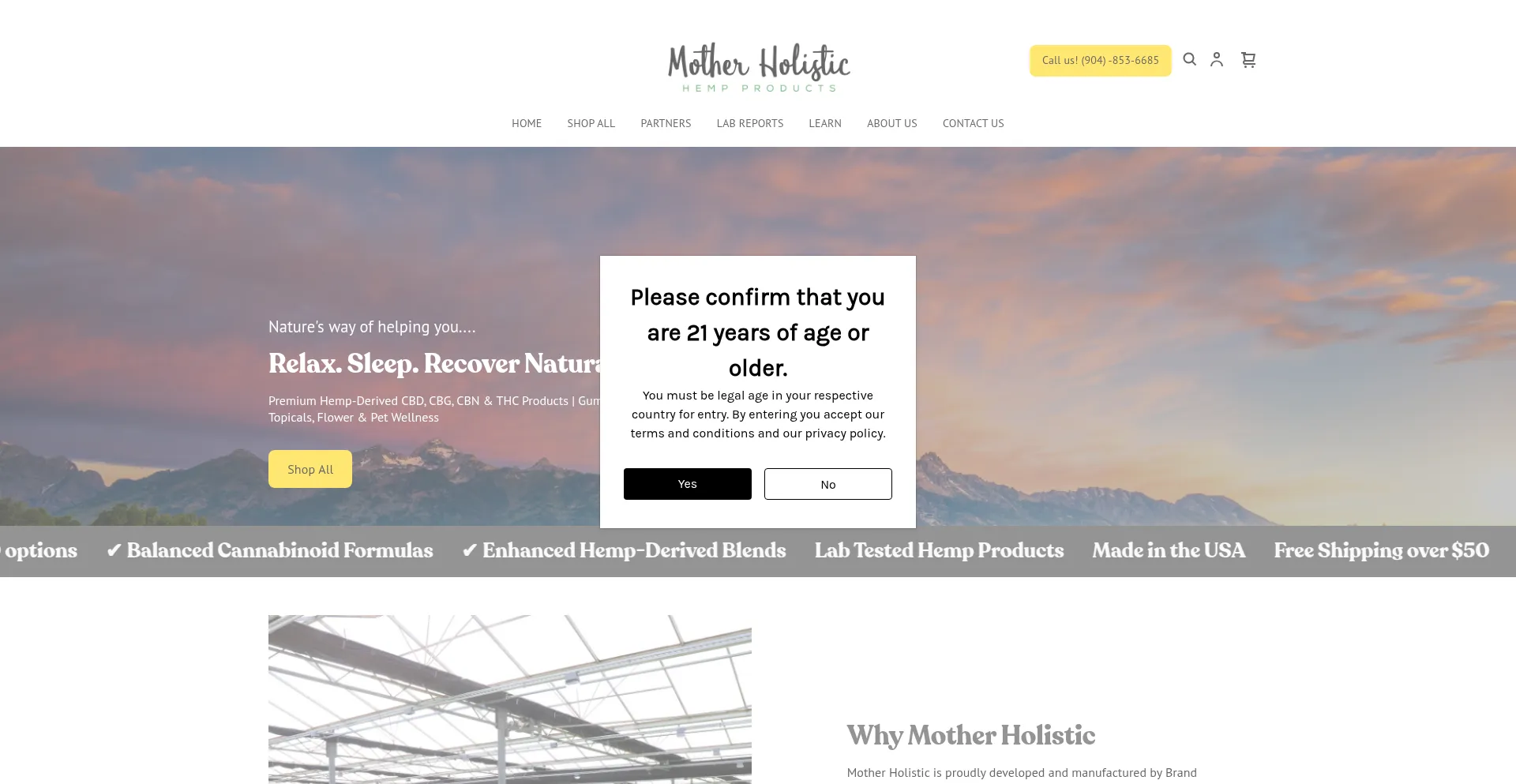 Motherholistic.com
