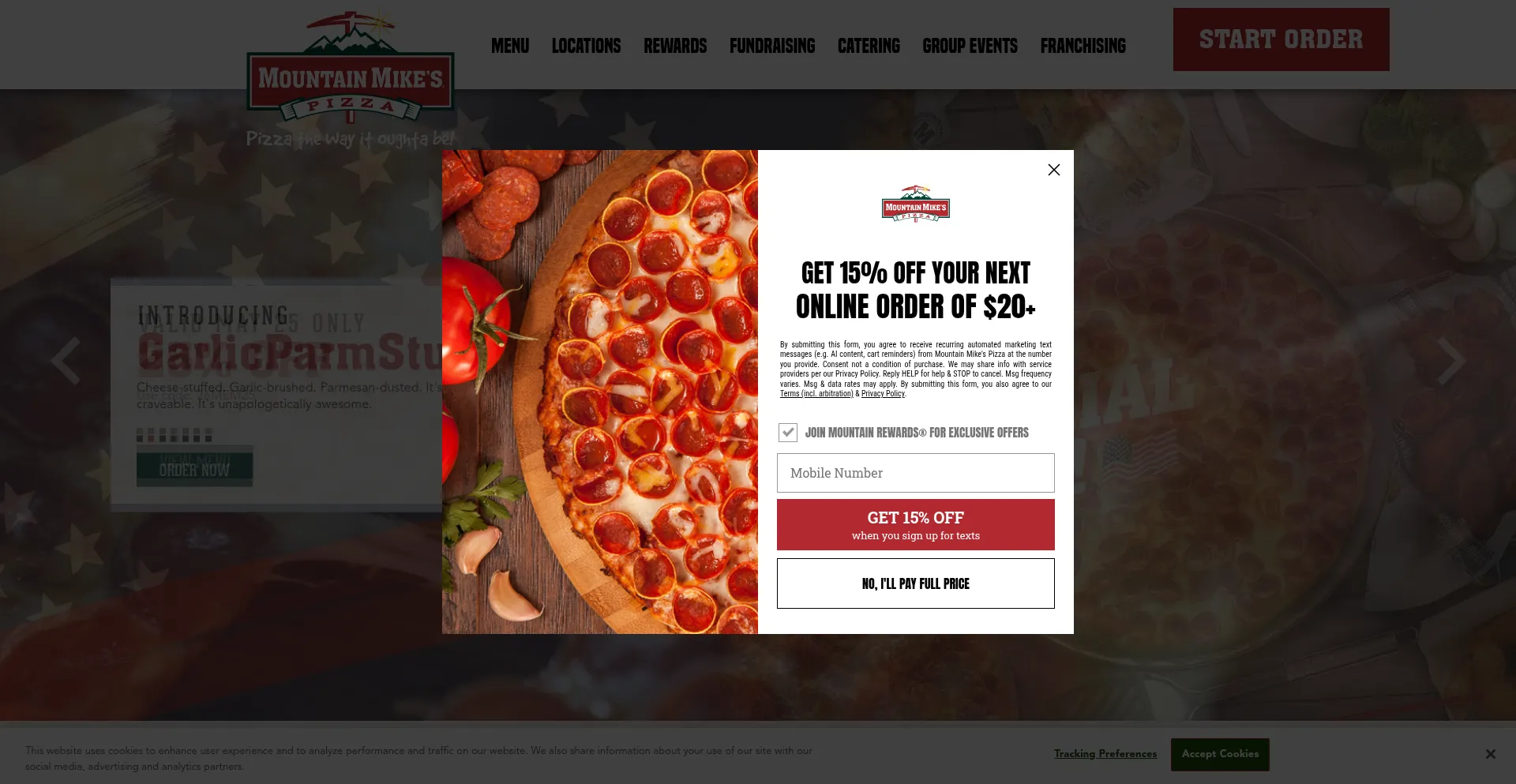 Mountainmikespizza.com
