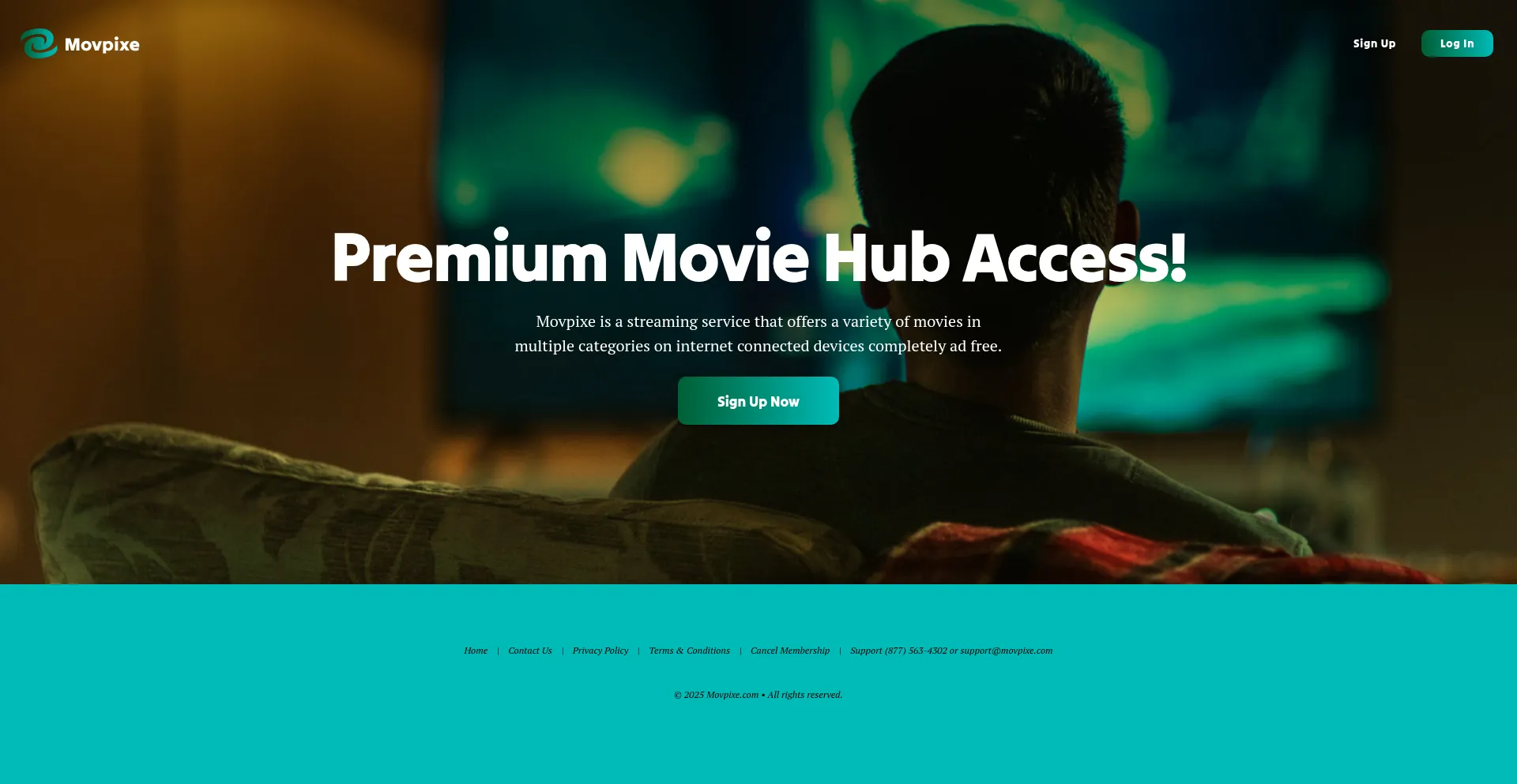 Website screenshot of Movpixe.com