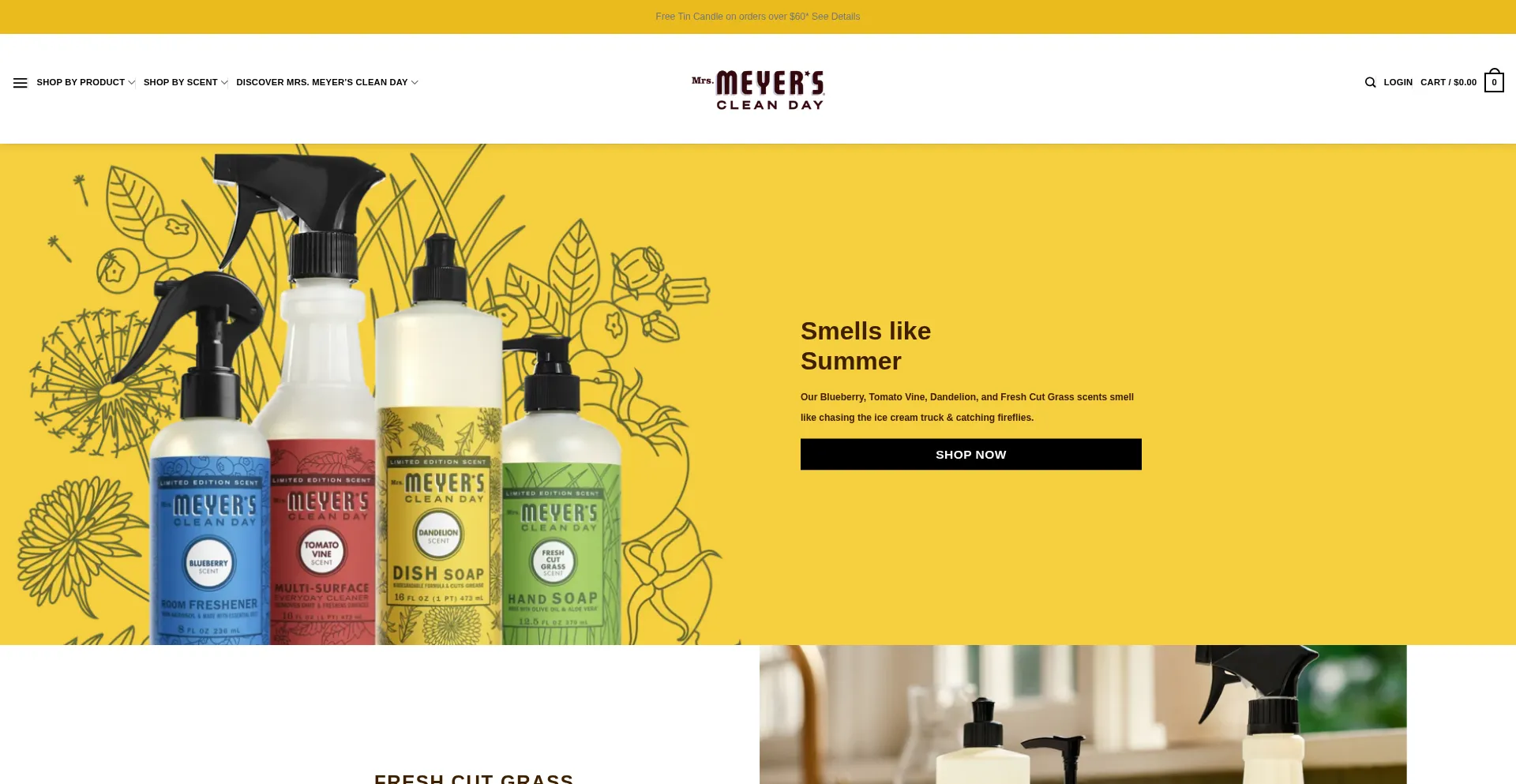 Website screenshot of Mrismneyers.top
