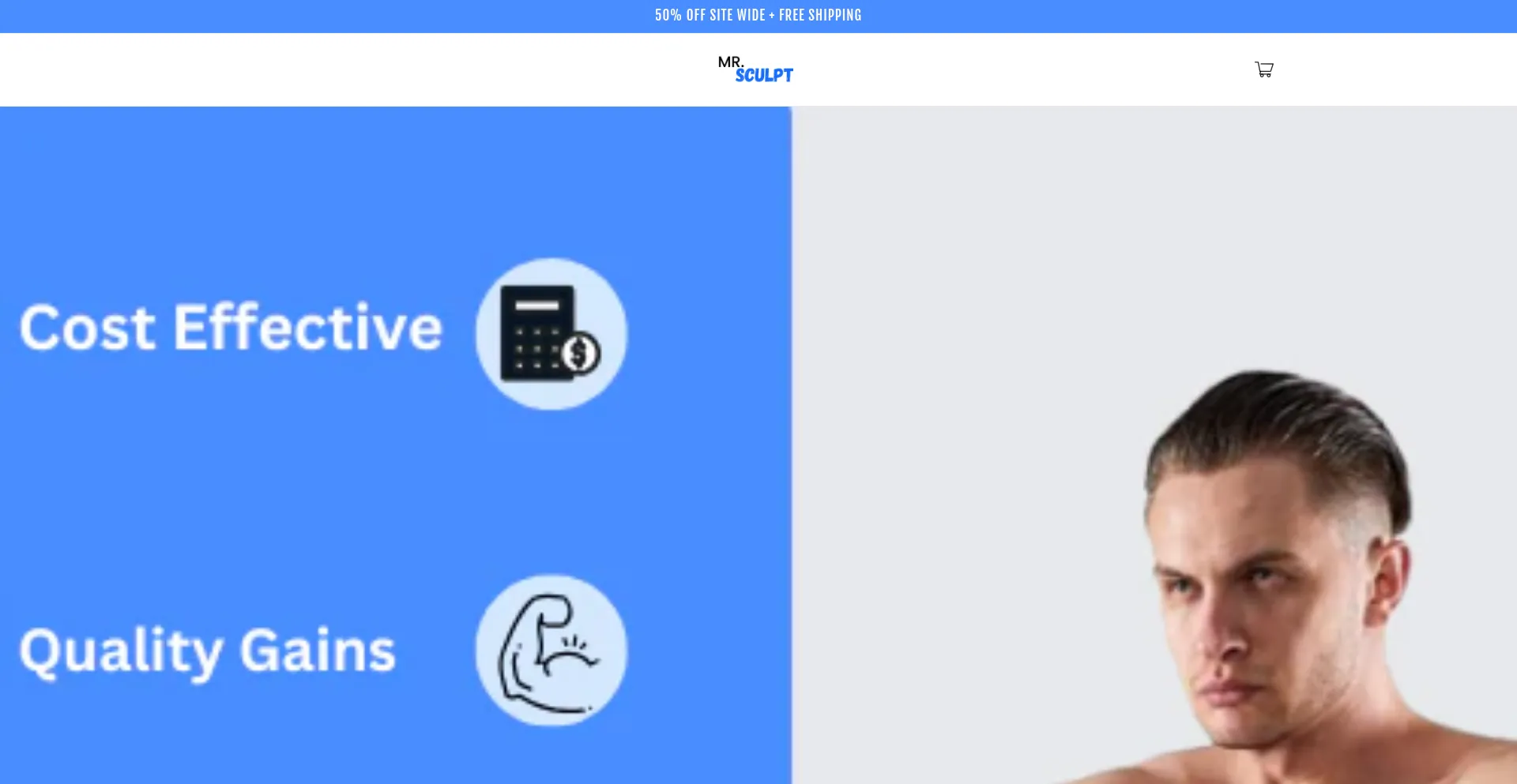 Website screenshot of Mrsculpt.com