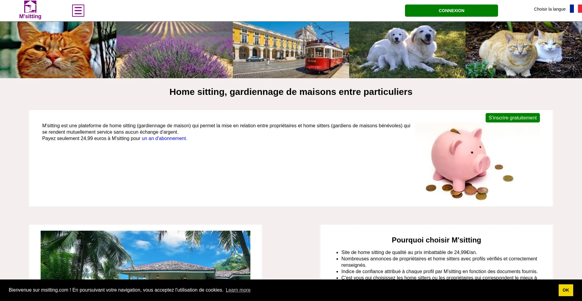 Msitting.com est-il Sûr et Fiable ?