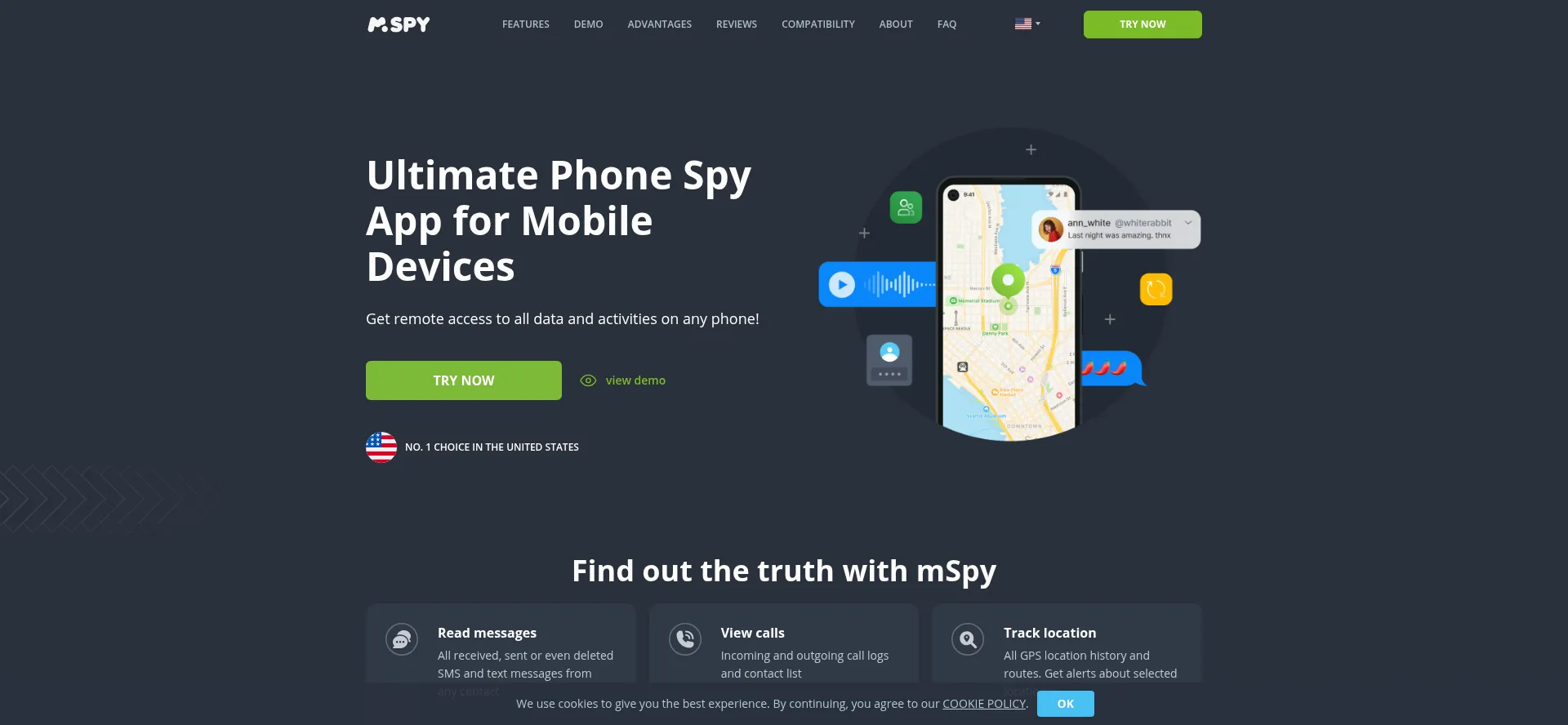 Website screenshot of Mspy.net