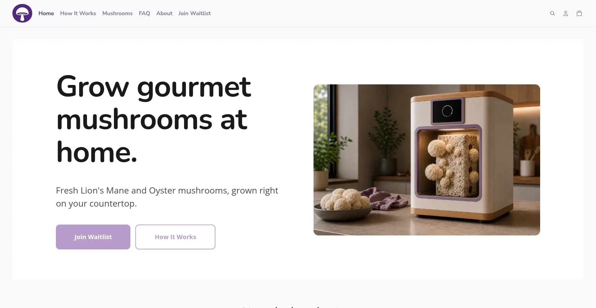 Mycelis.co.nz