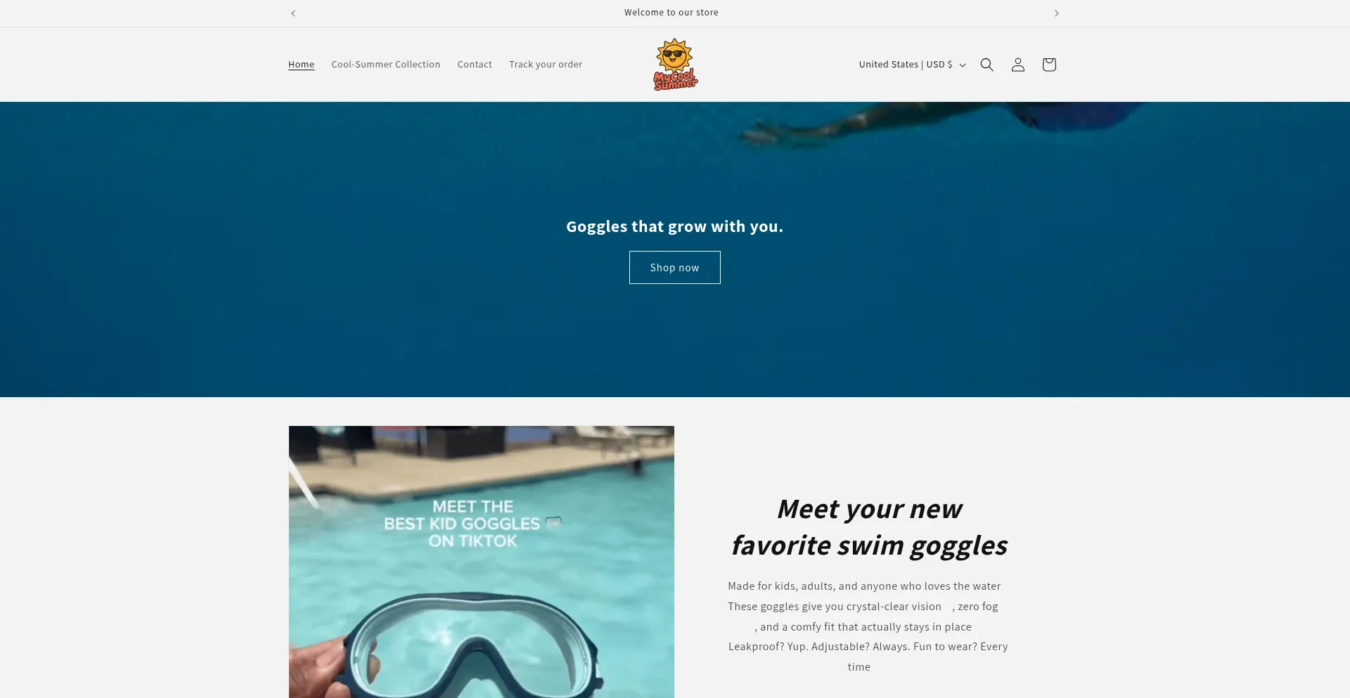 Website screenshot of Mycoolsummer.com