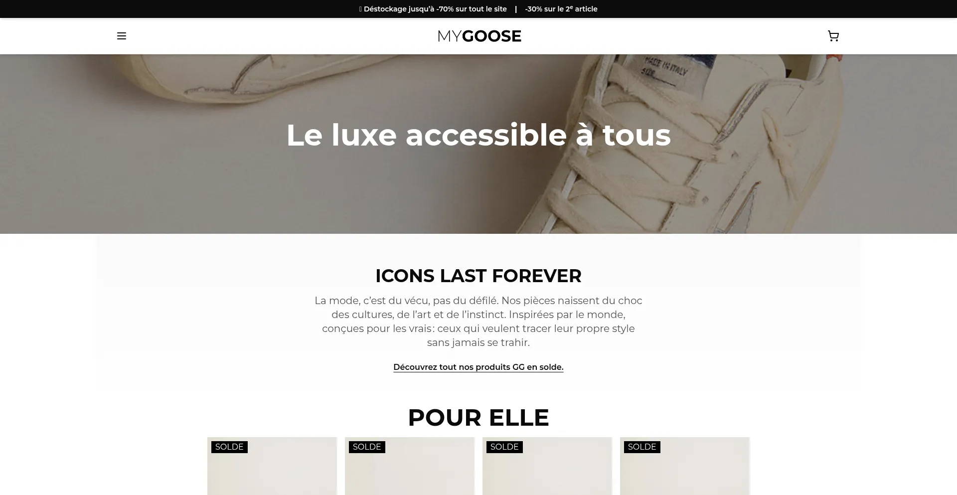 Website screenshot of Mygoosefrance.fr