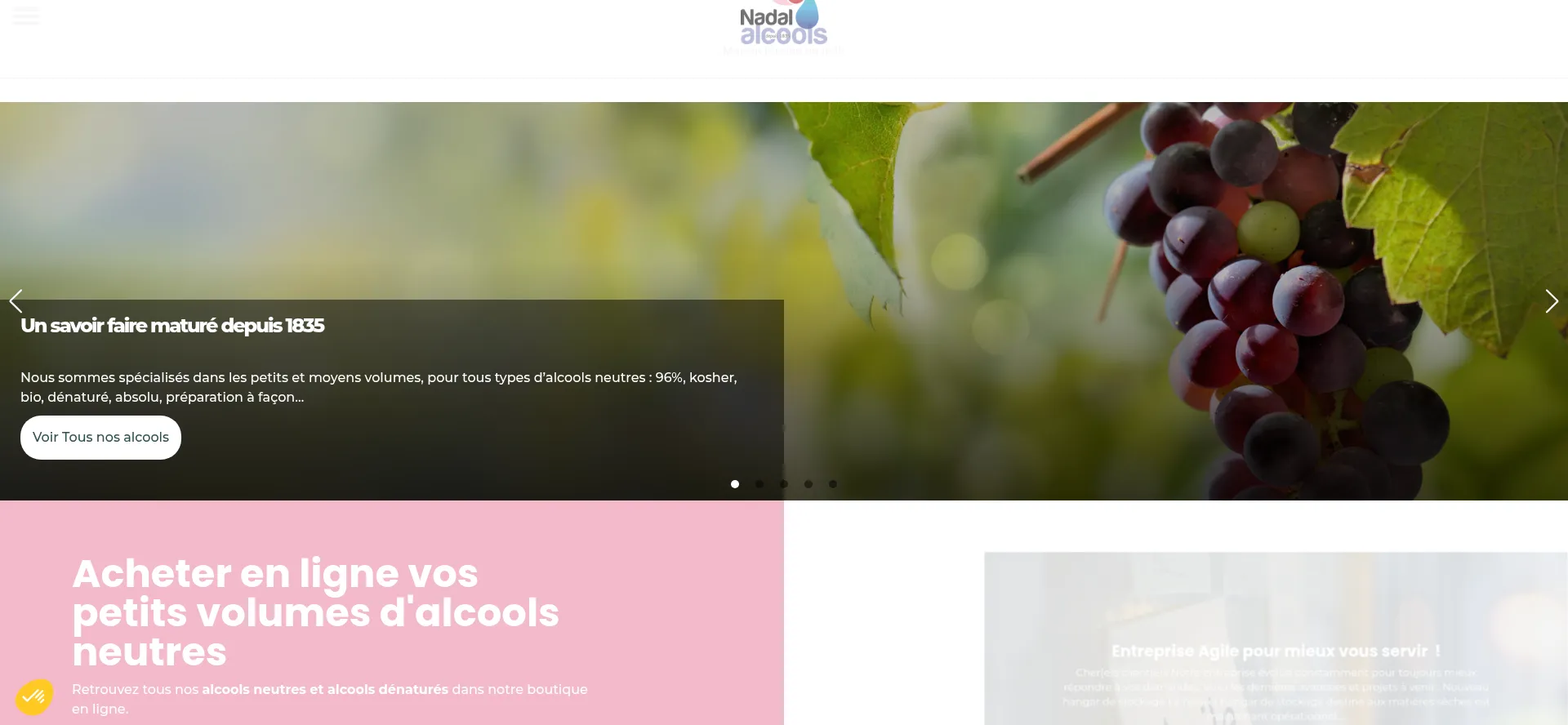 Website screenshot of Nadal-alcools.com