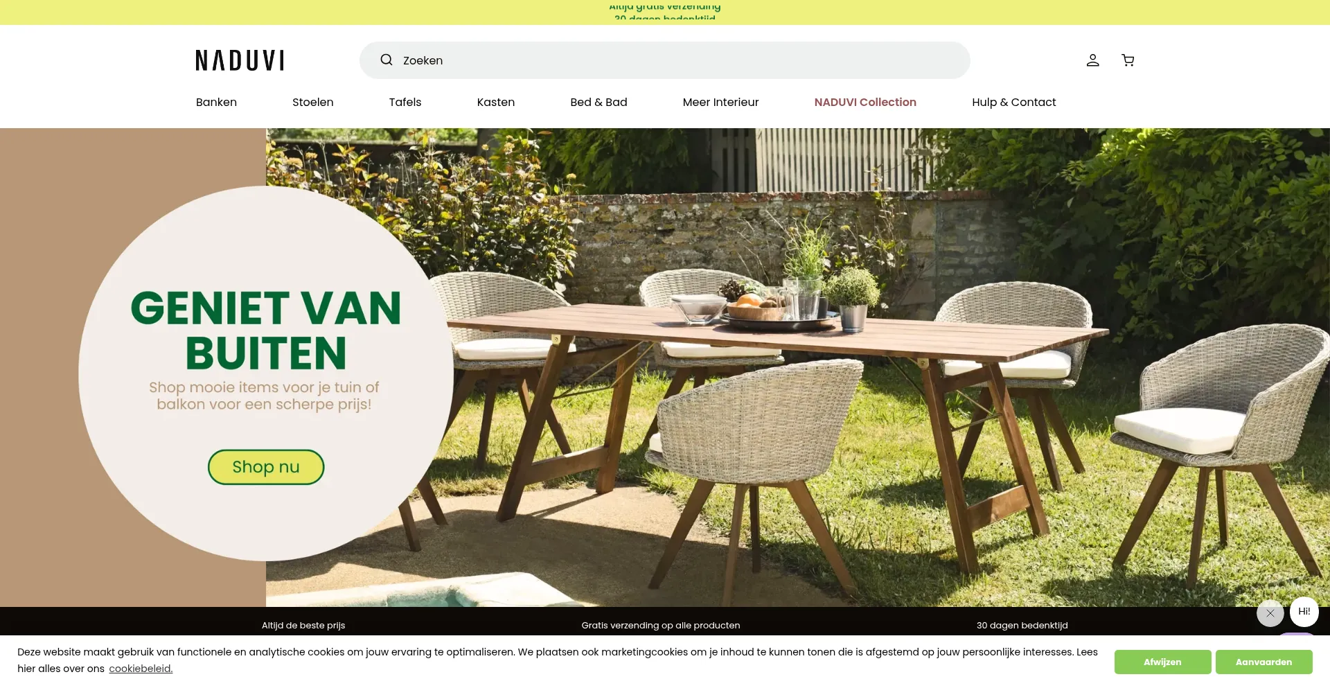 Website screenshot of Naduvi.nl