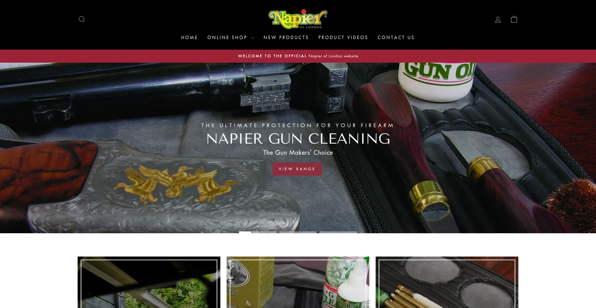 Website screenshot of Napieruk.com