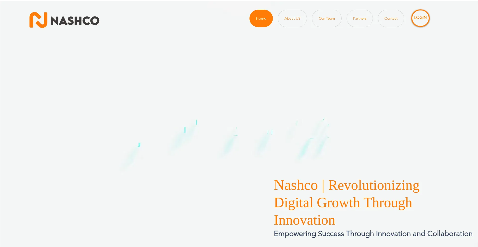 Website screenshot of Nashco.site