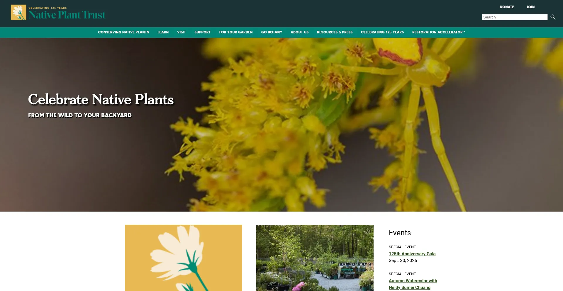 Nativeplanttrust.org est-il Sûr et Fiable ?