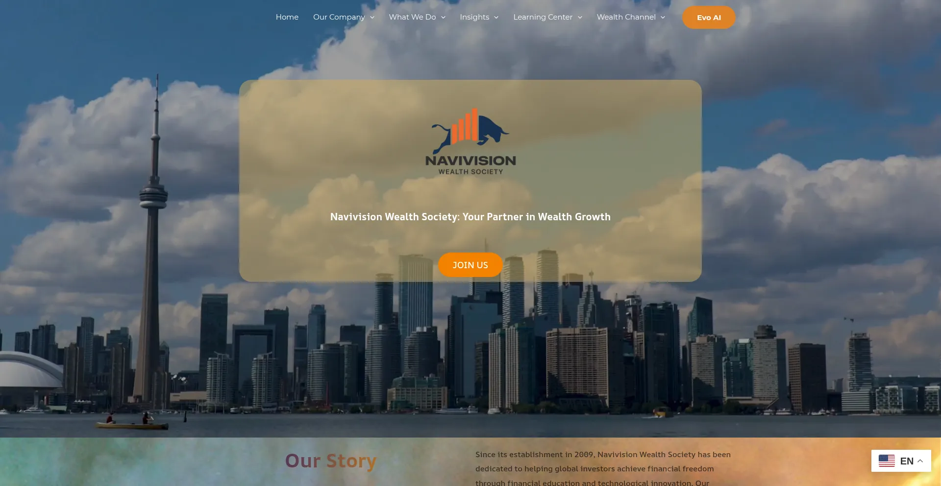 Website screenshot of Navivision.com