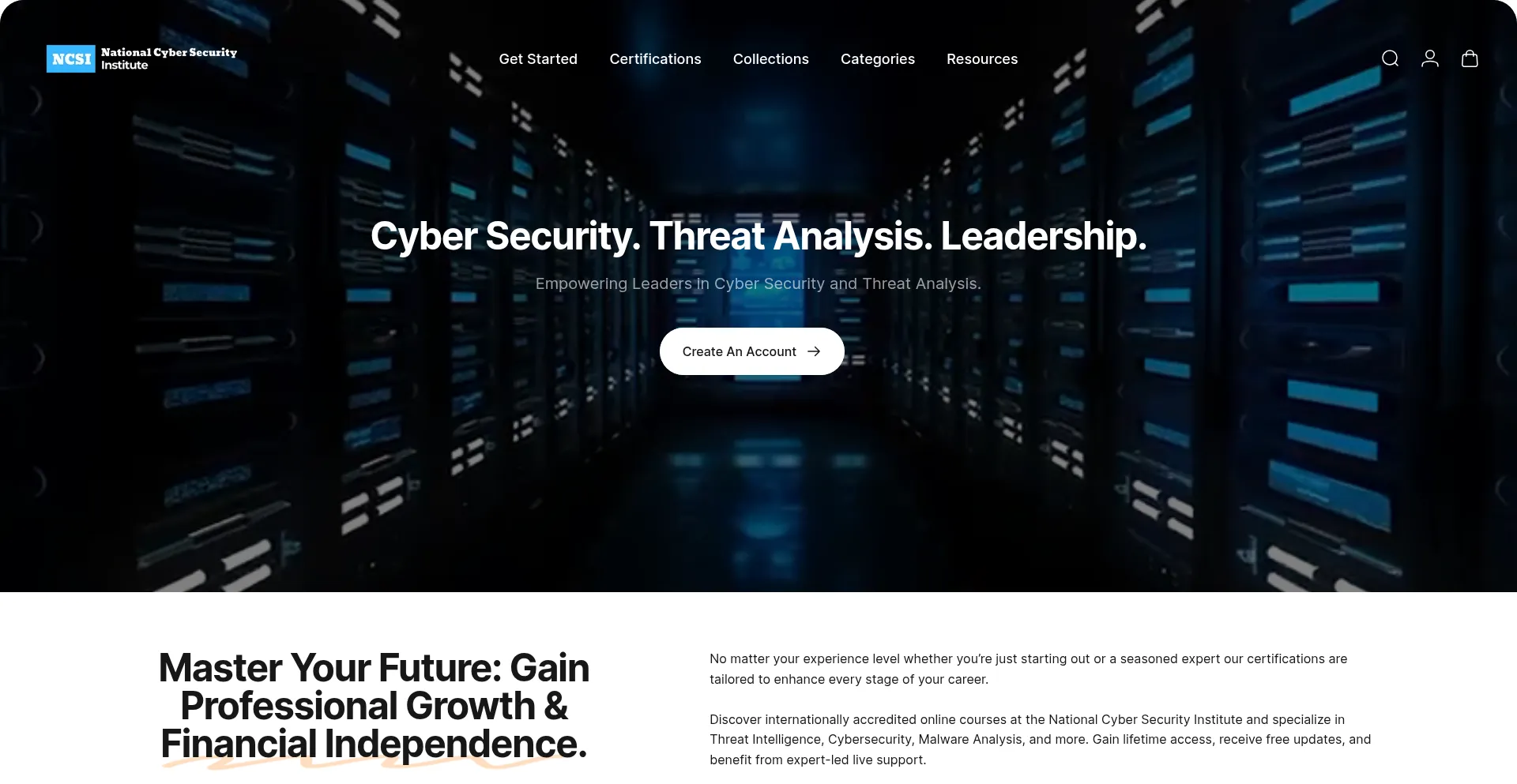 Website screenshot of Ncsi.institute