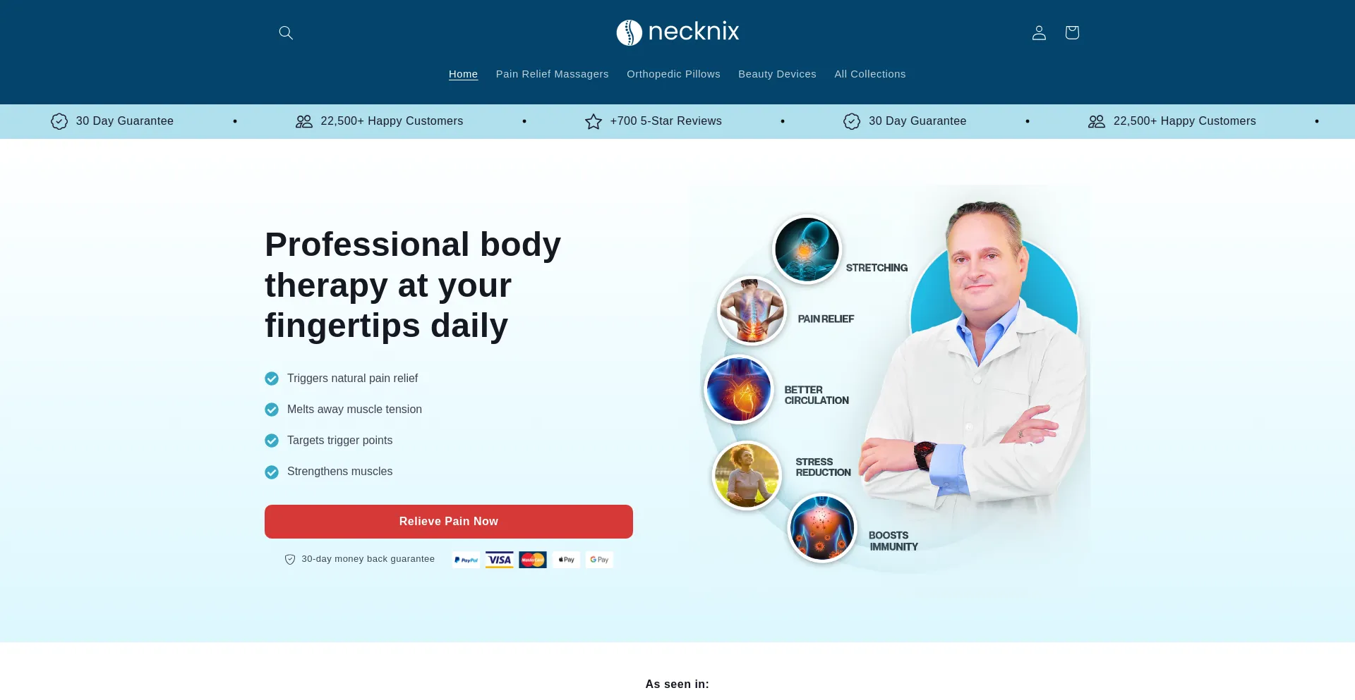 Website screenshot of Necknix.com