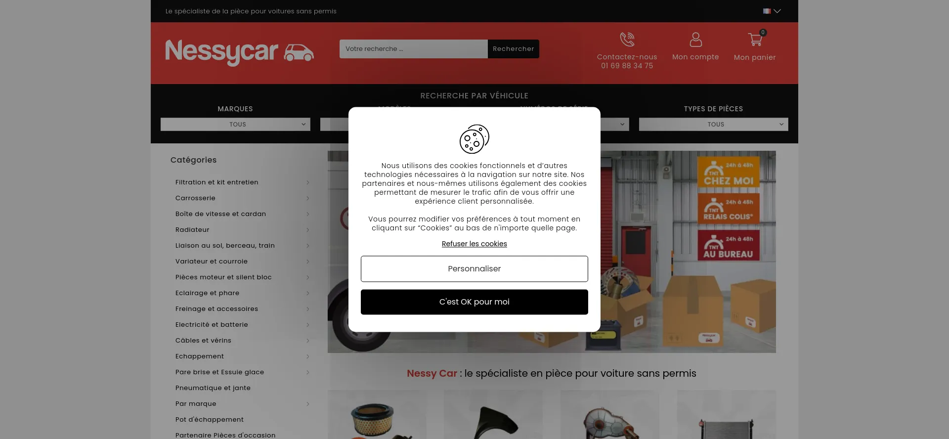Website screenshot of Nessycar.fr