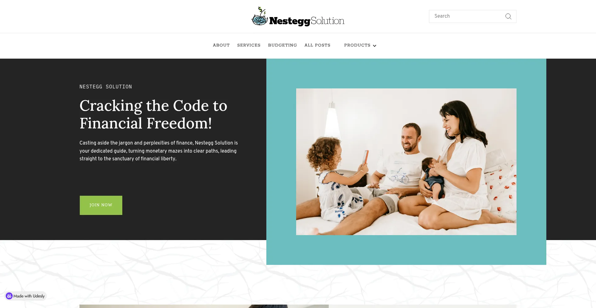 Website screenshot of Nesteggsolution.com