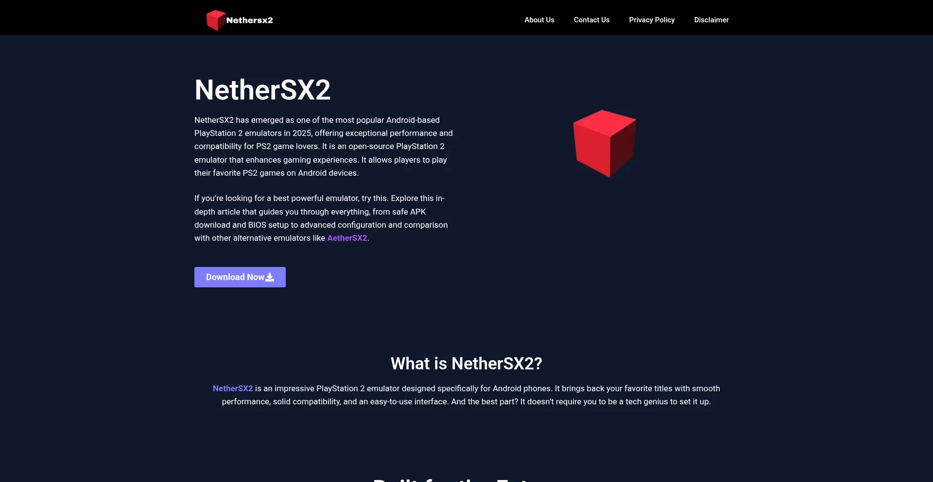 Nethersx2.com.tr Screenshot