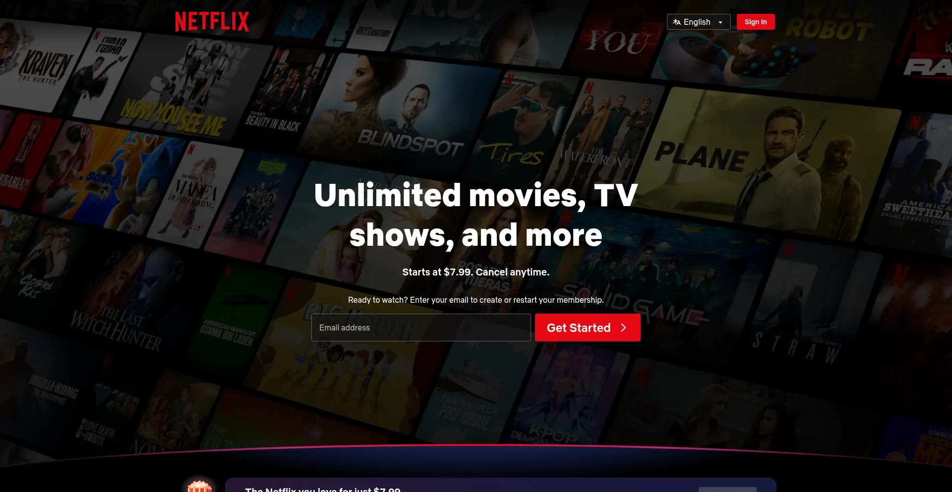 Website screenshot of Netlfix.com