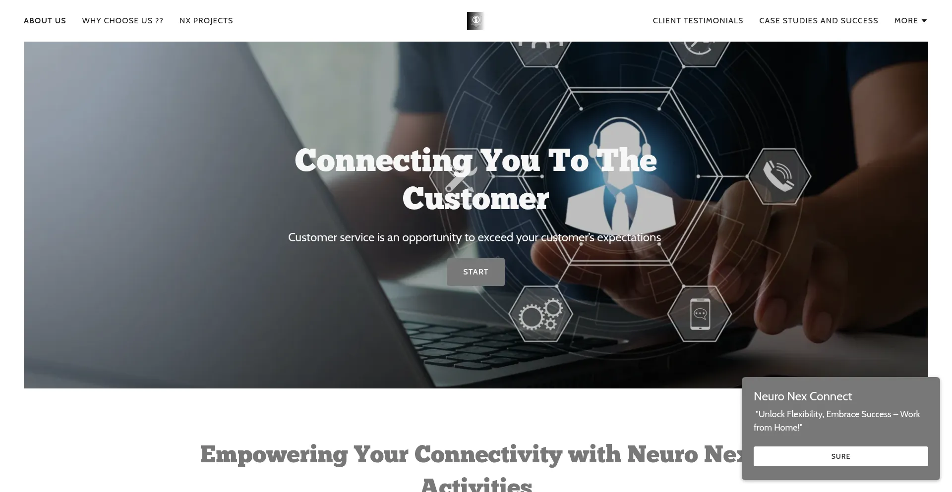 Website screenshot of Neuronexconnect.info