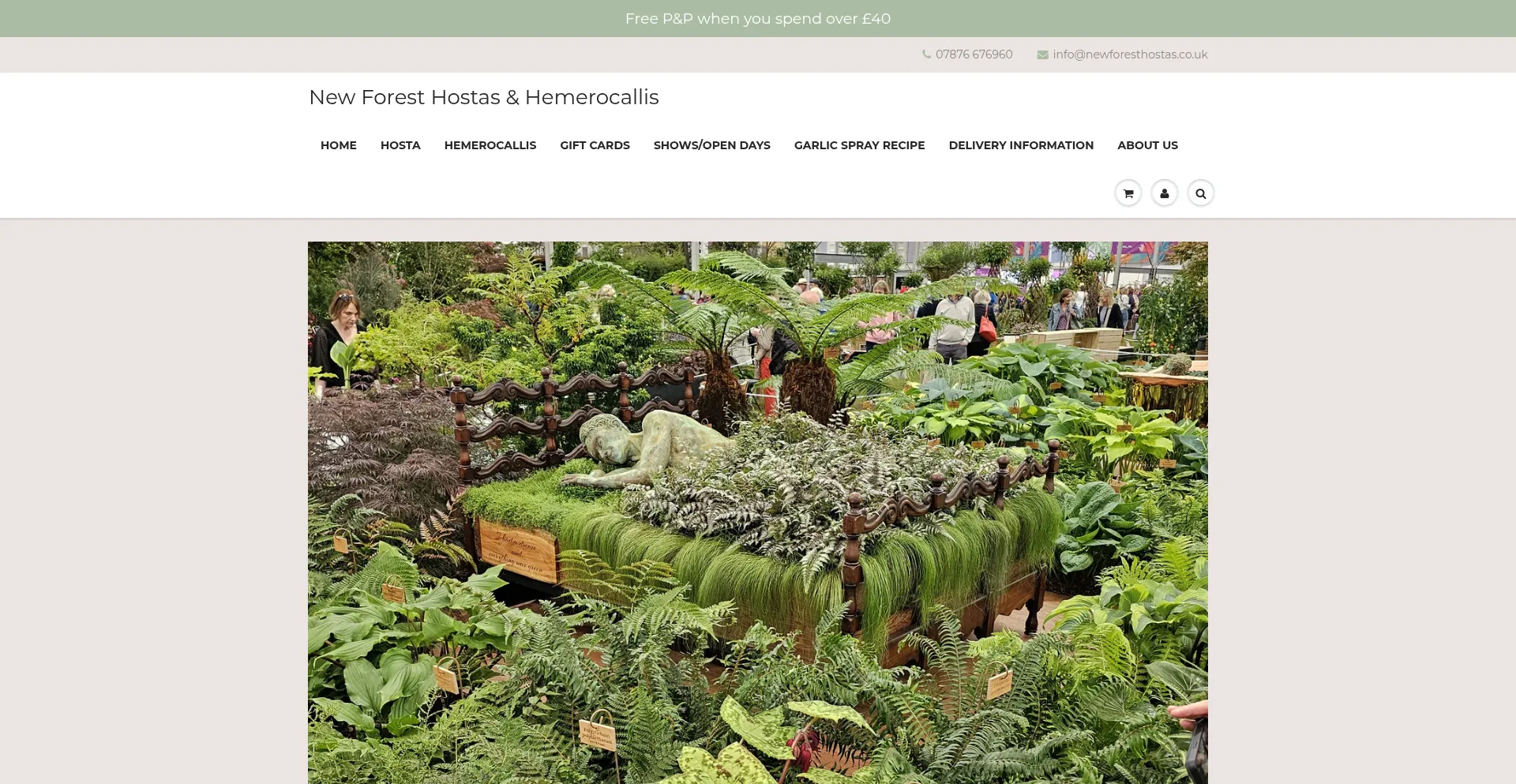 Newforesthostas.co.uk