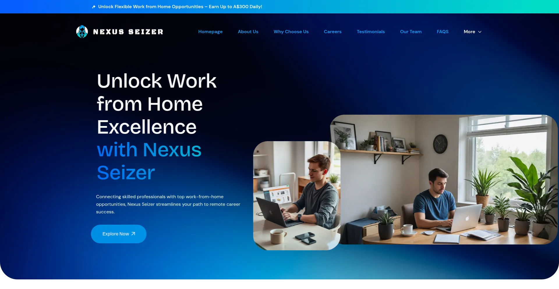 Website screenshot of Nexusseizer.com