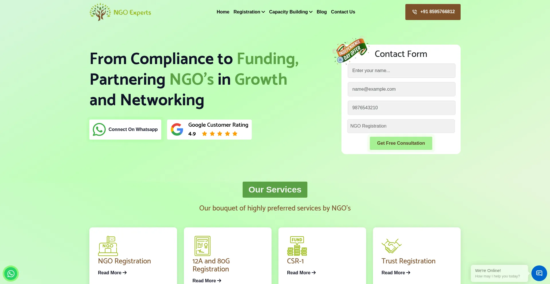 Website screenshot of Ngoexperts.com