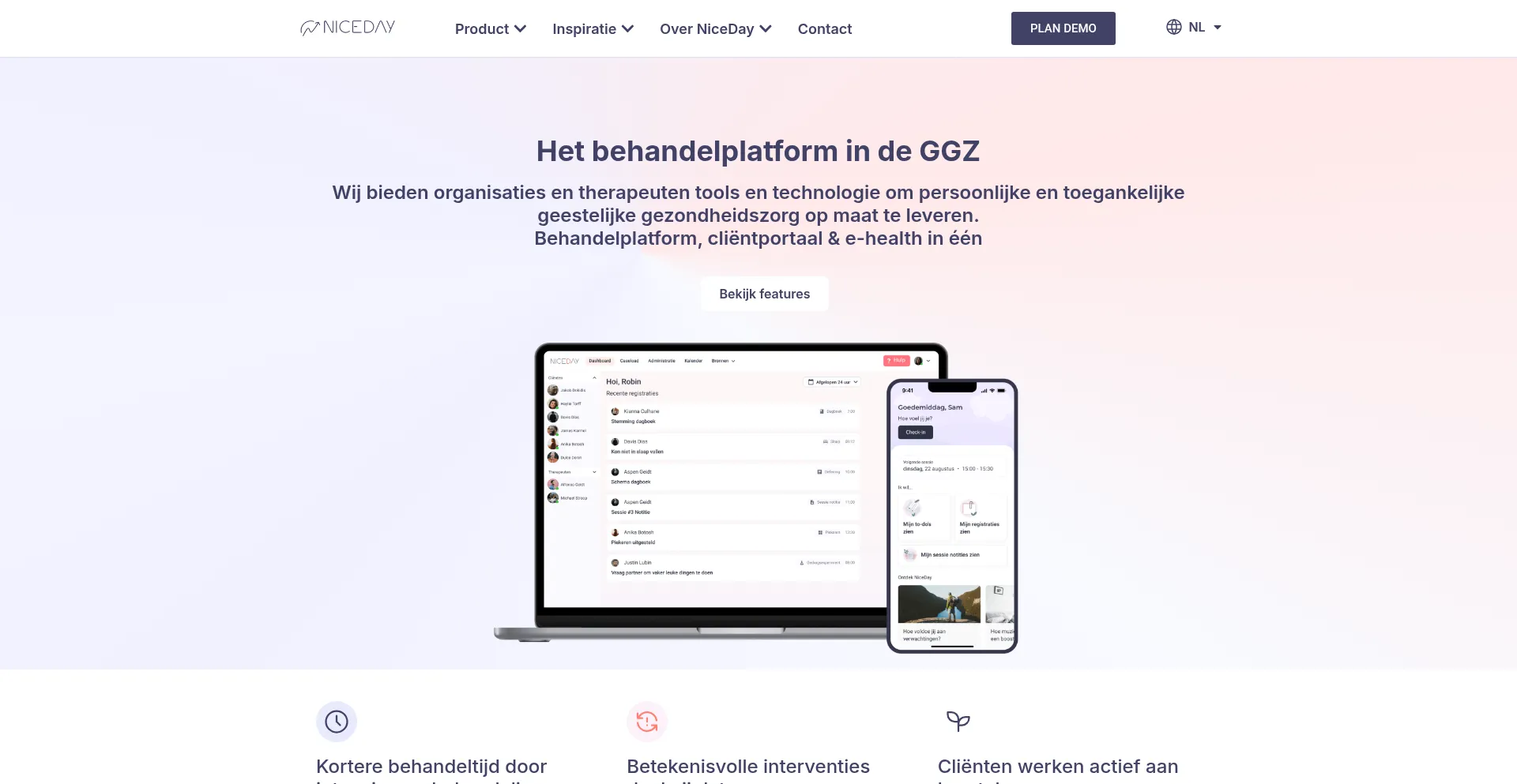 Website screenshot of Nicedaynederland.nl