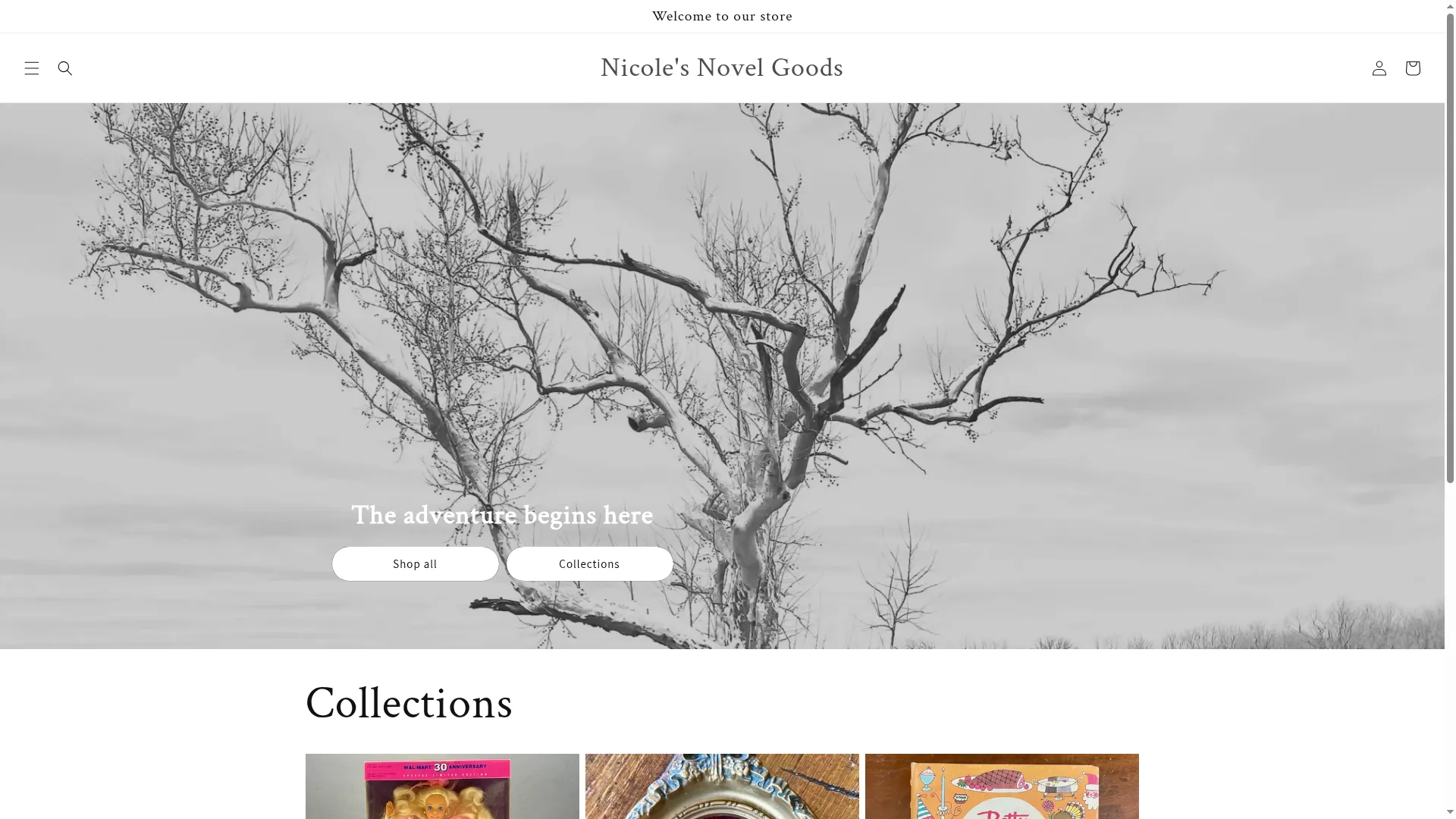 Nicolesnovelgoods.com