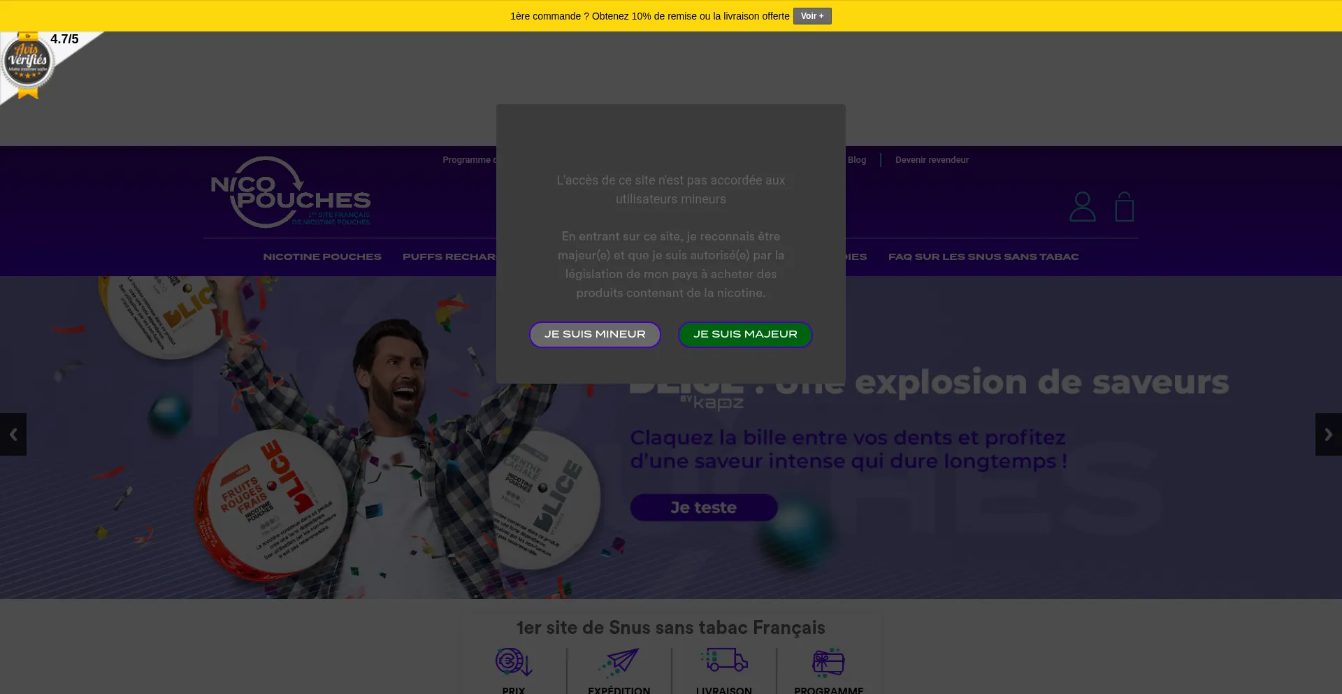 Nicopouches.fr Screenshot