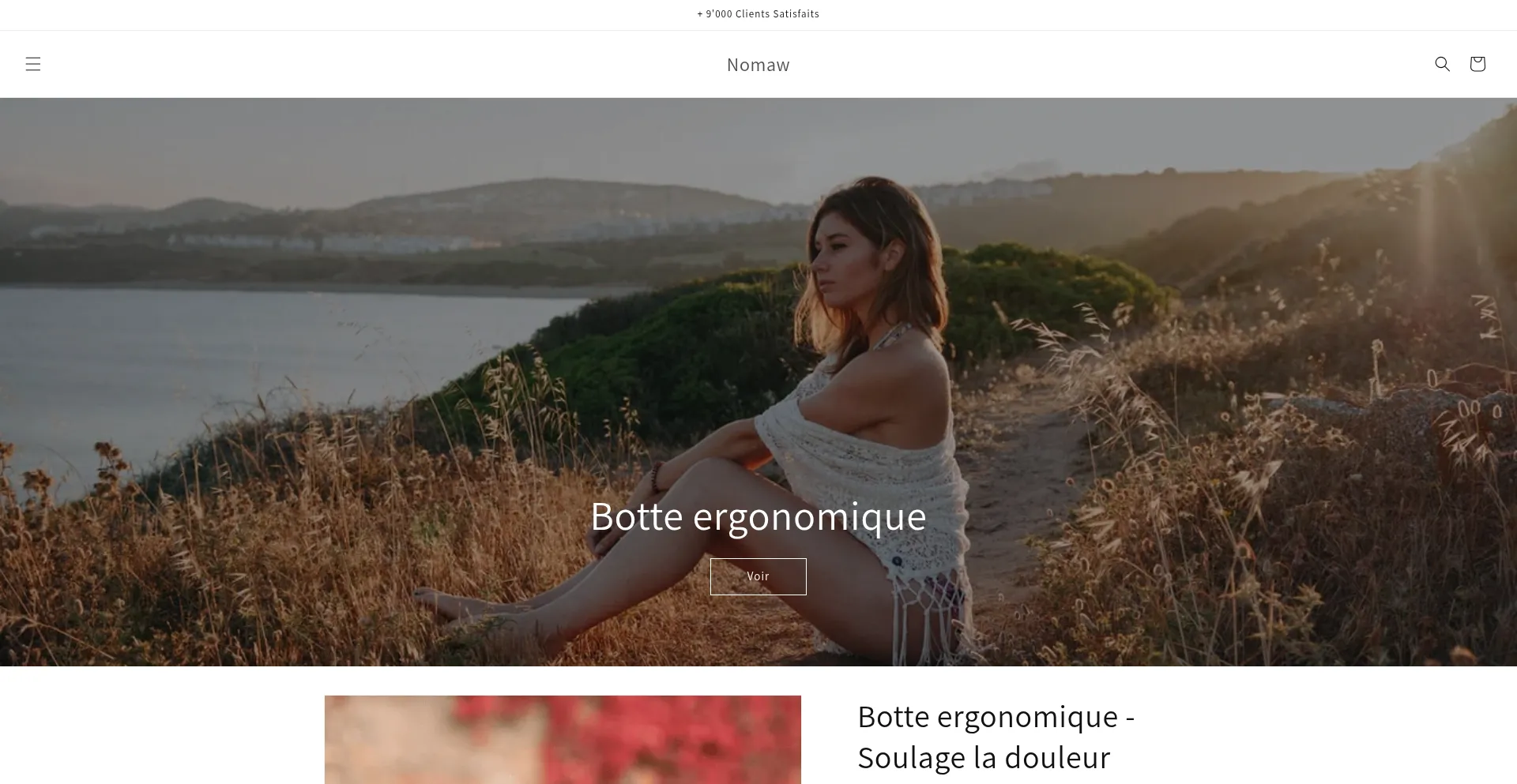 Website screenshot of Nomaw-health.eu