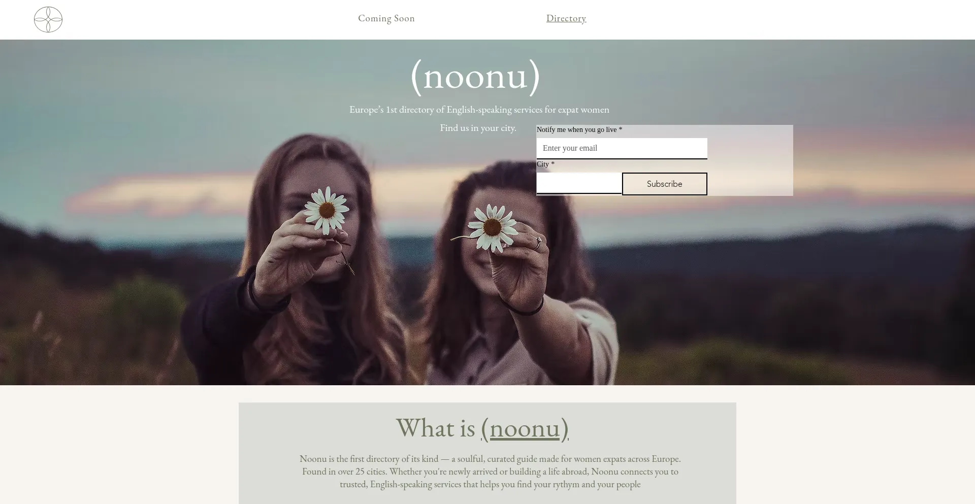 Website screenshot of Noonu.org
