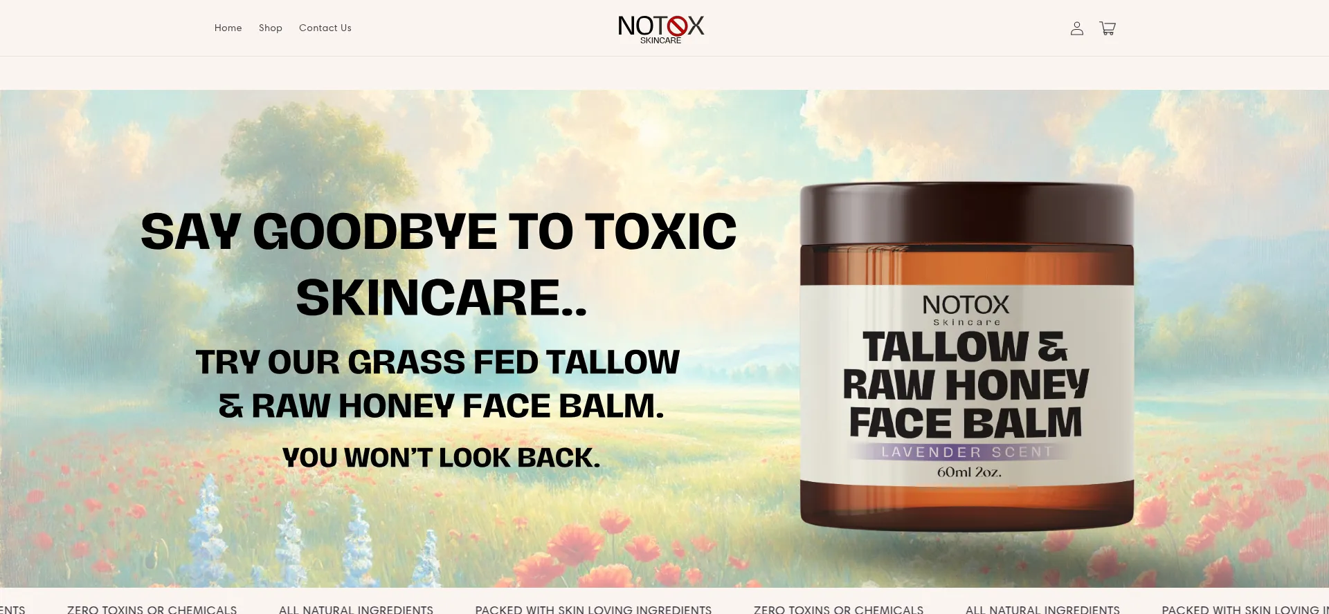 Notoxskincare.co