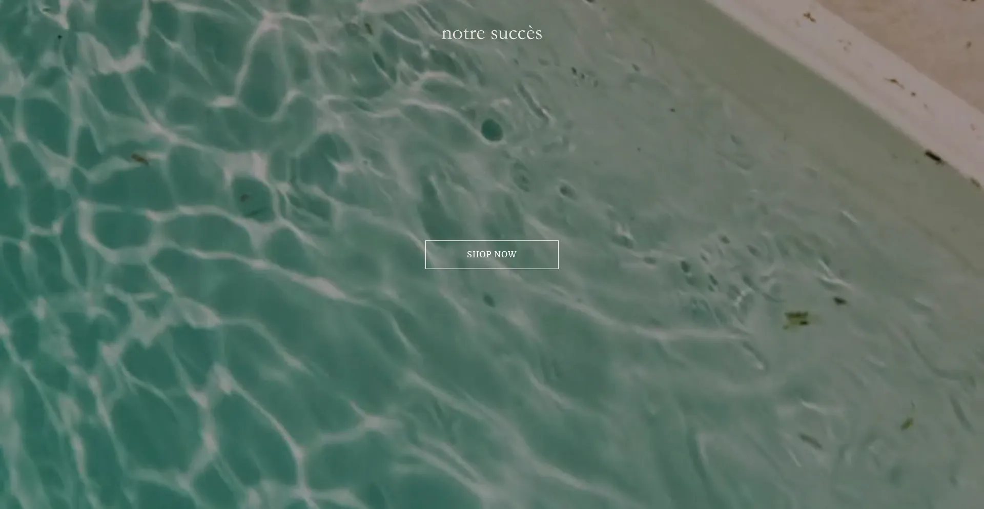 Notresucces.com est-il Sûr et Fiable ?