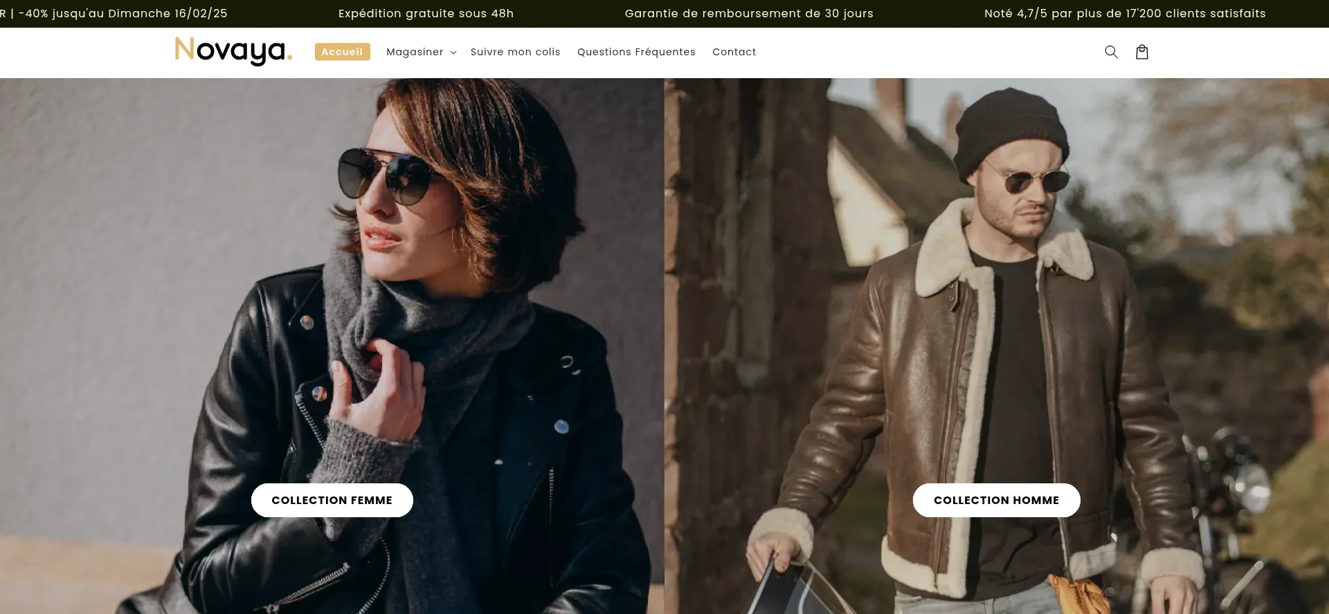 Website screenshot of Novaya.ca