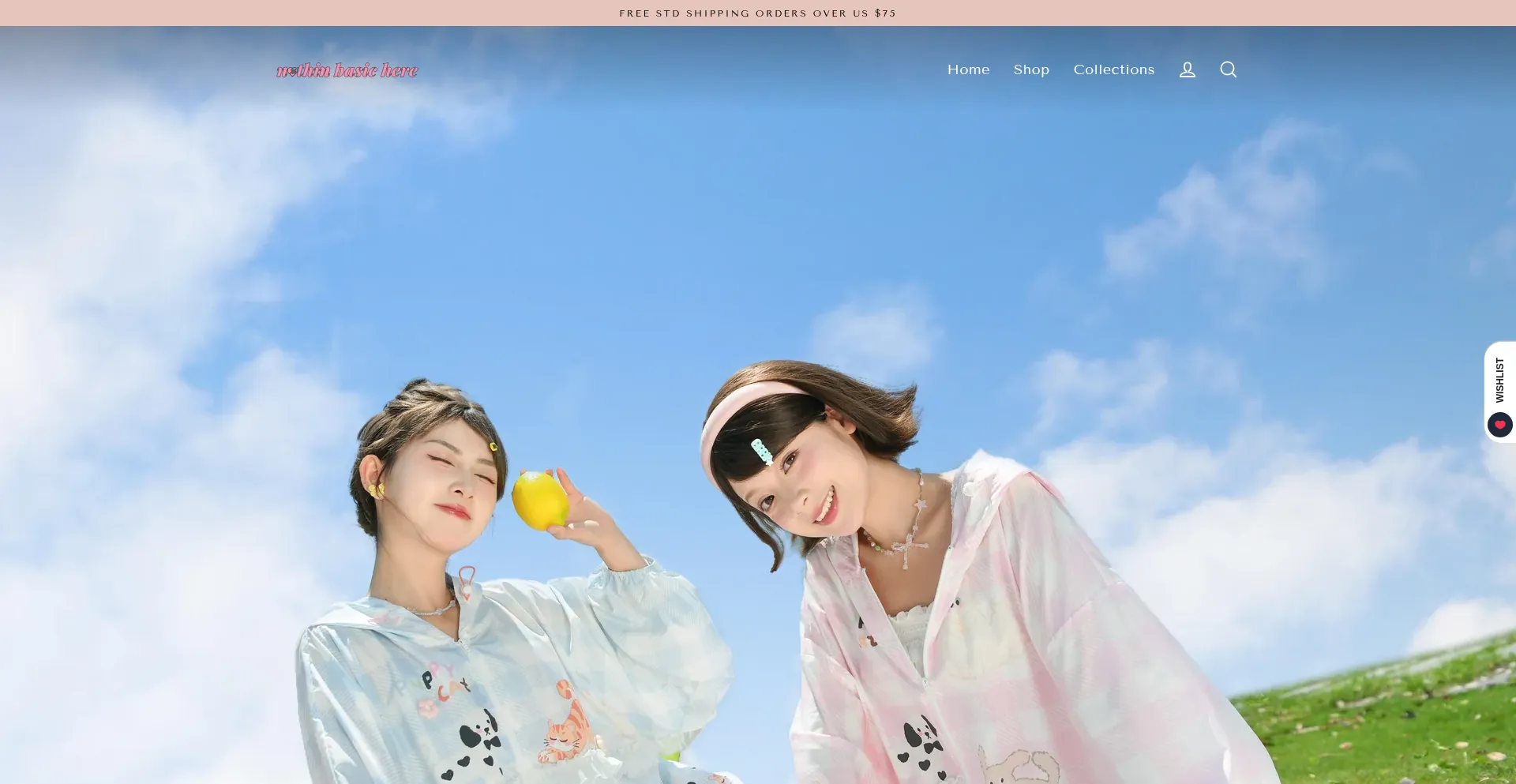 Website screenshot of Ntbhshop.com