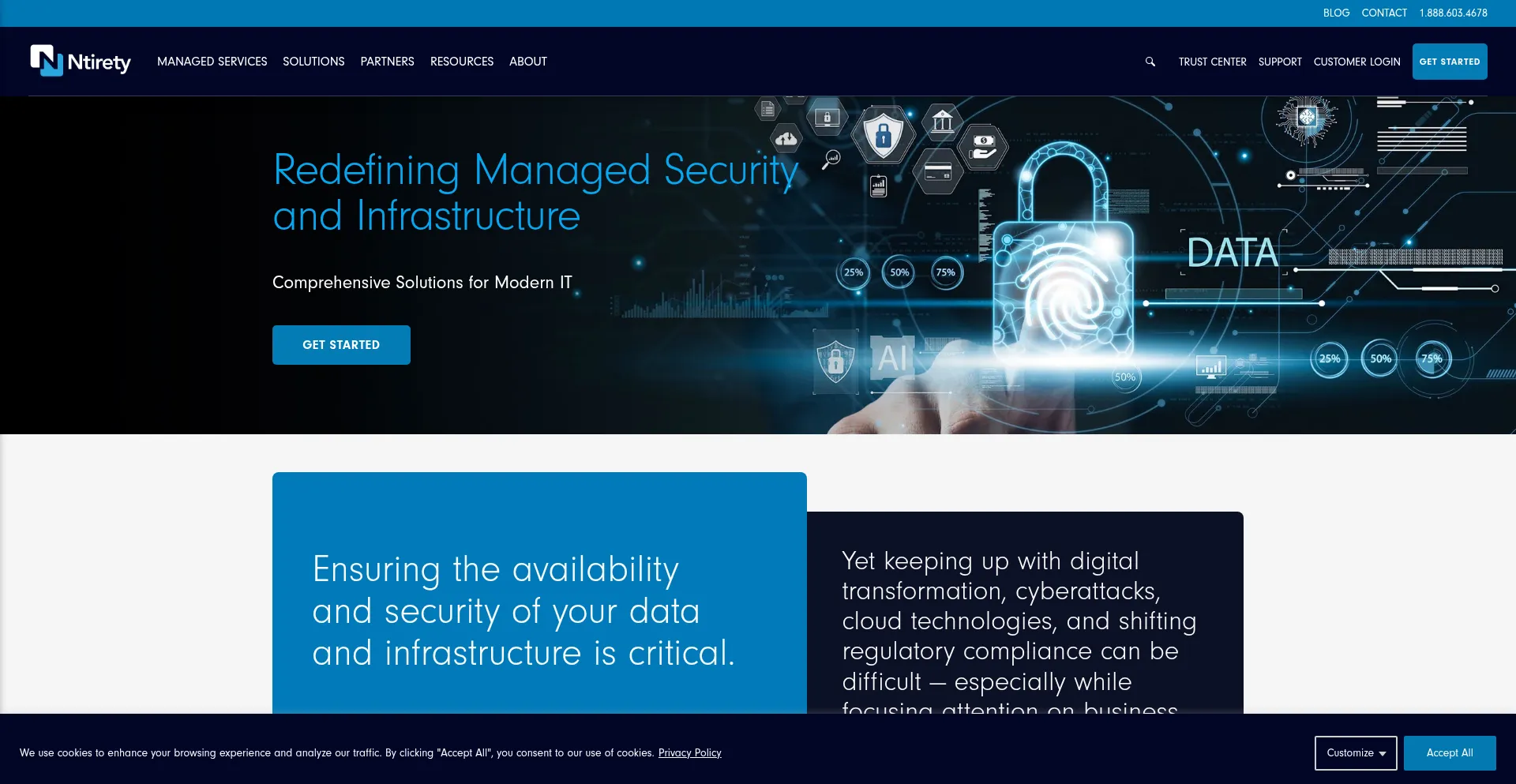Website screenshot of Ntirety.com