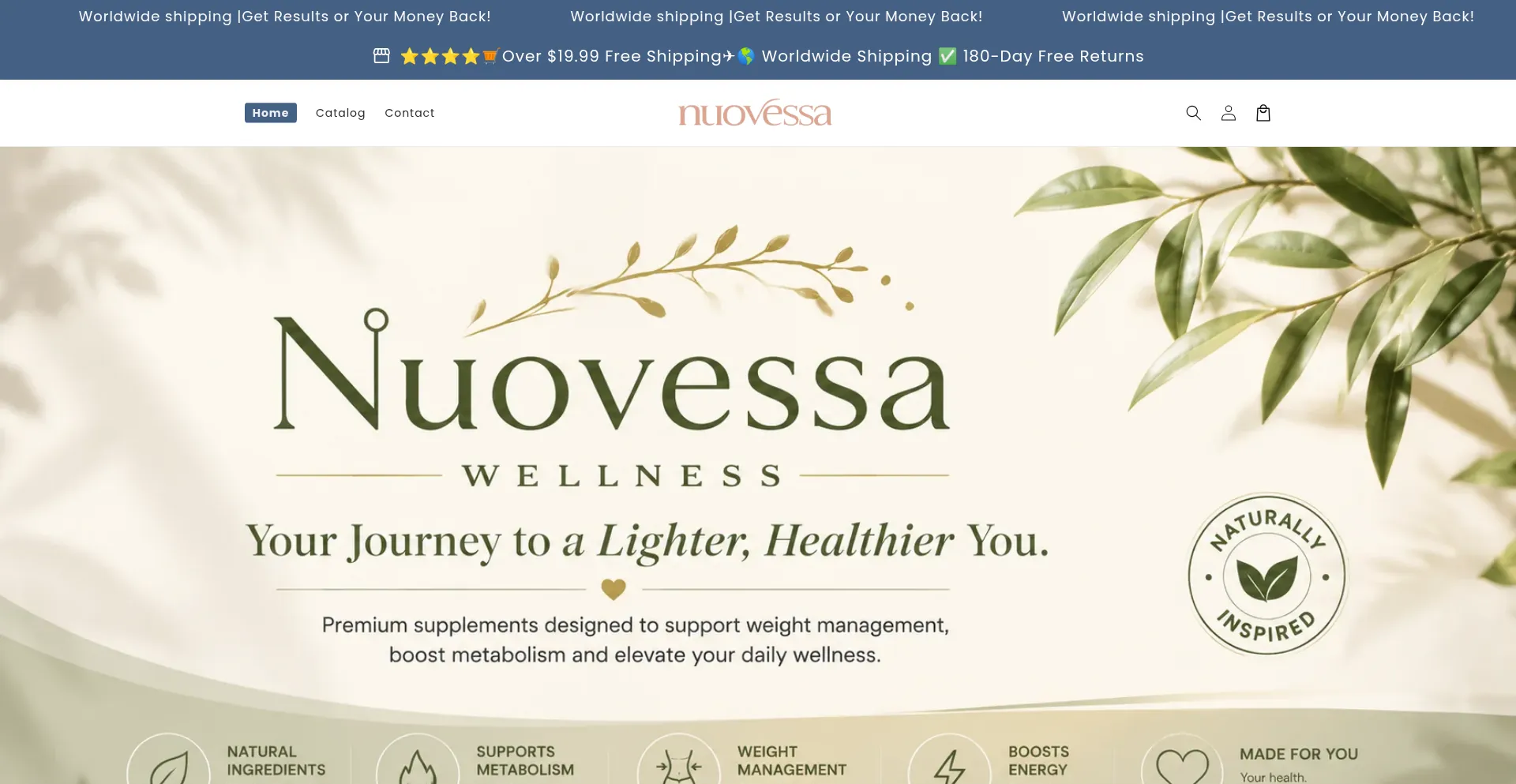 Nuovessa.com