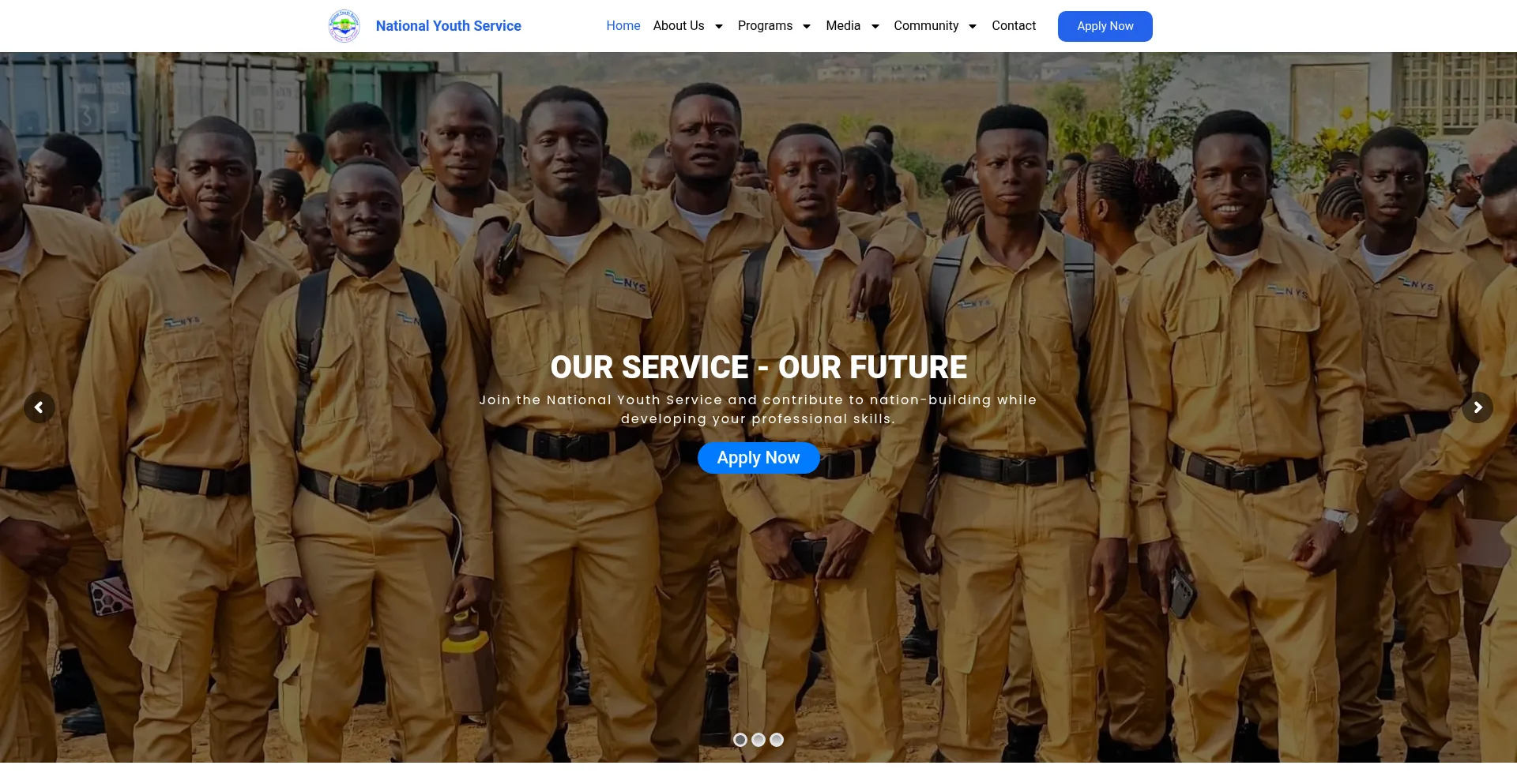 Website screenshot of Nys.gov.sl