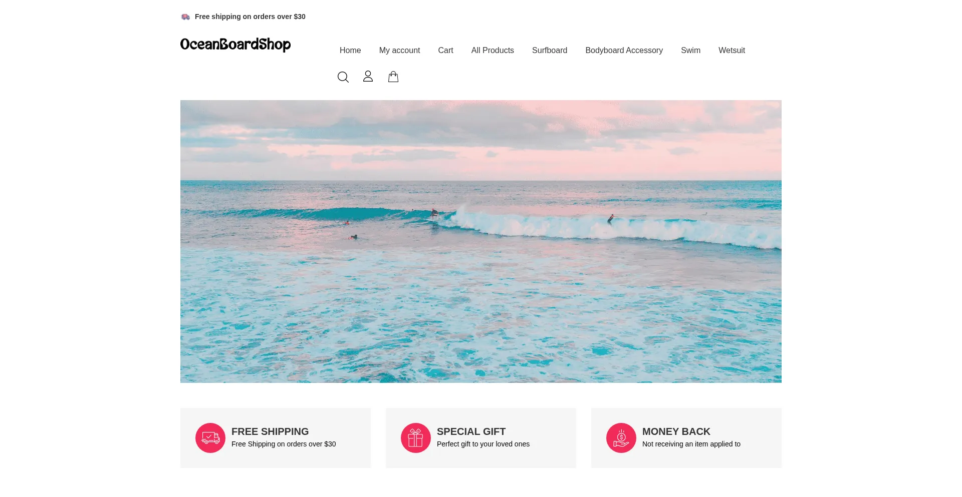 Website screenshot of Oceanboardshop.com