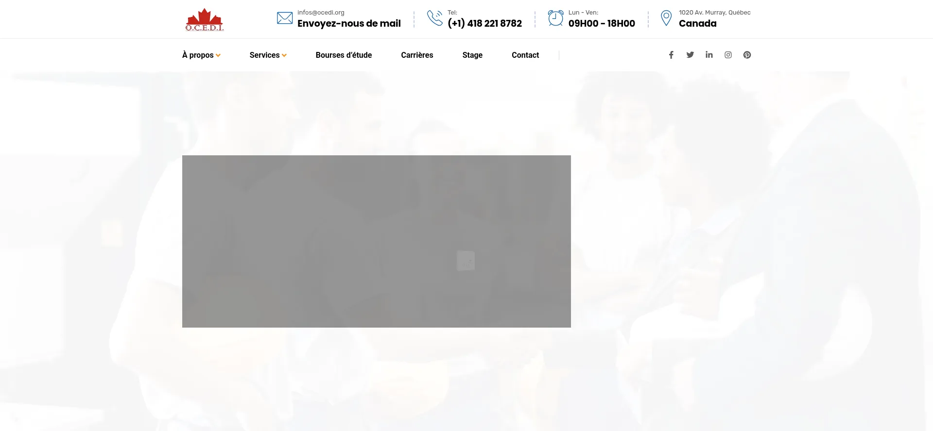 Website screenshot of Ocedi.org