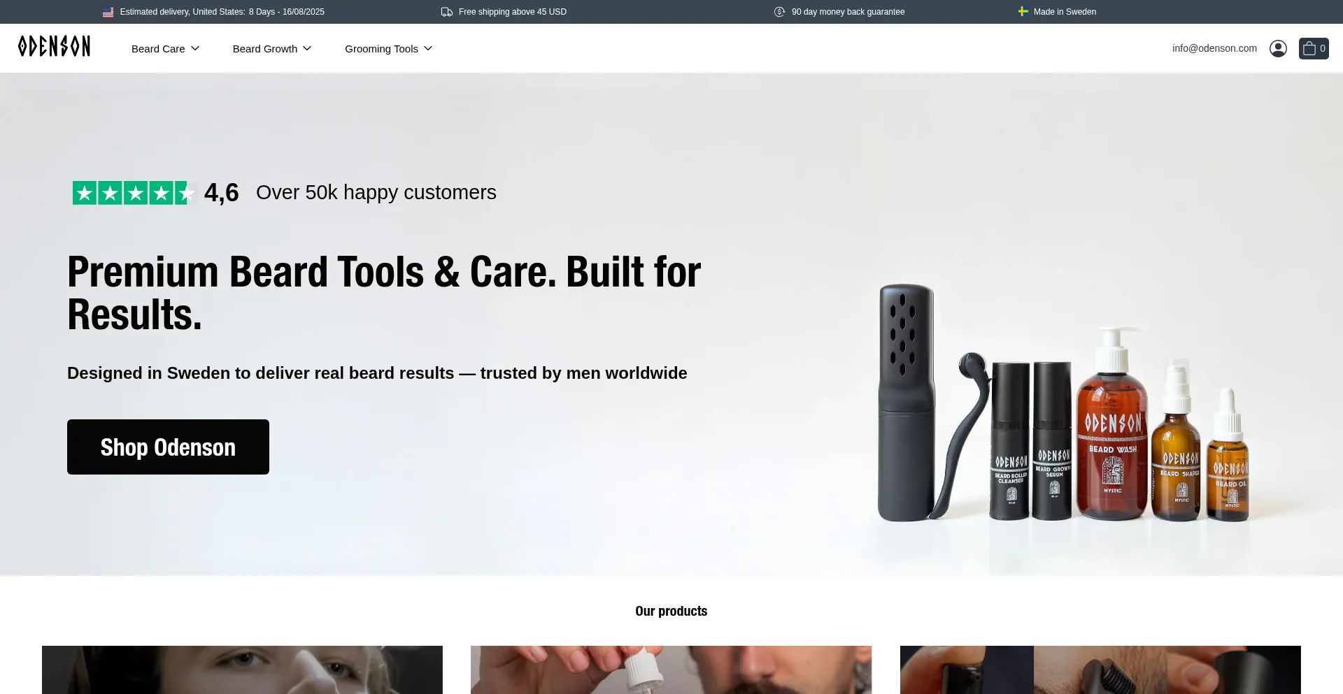 Website screenshot of Odenson.com