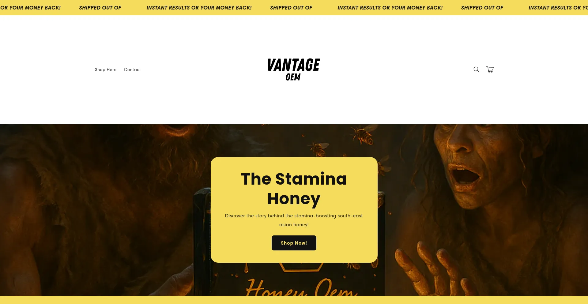 Website screenshot of Oemvantage.com